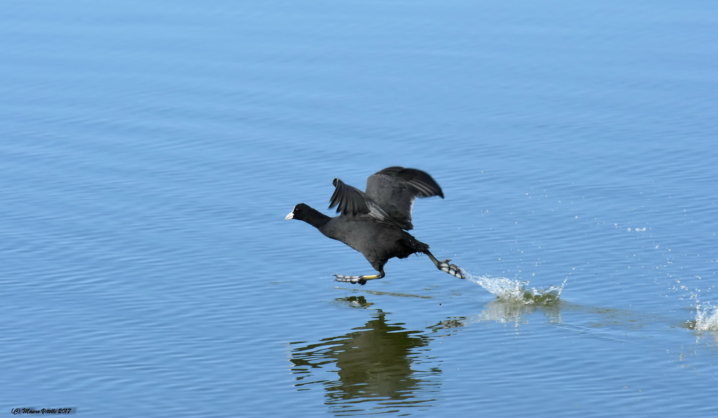 The ride on the water ...