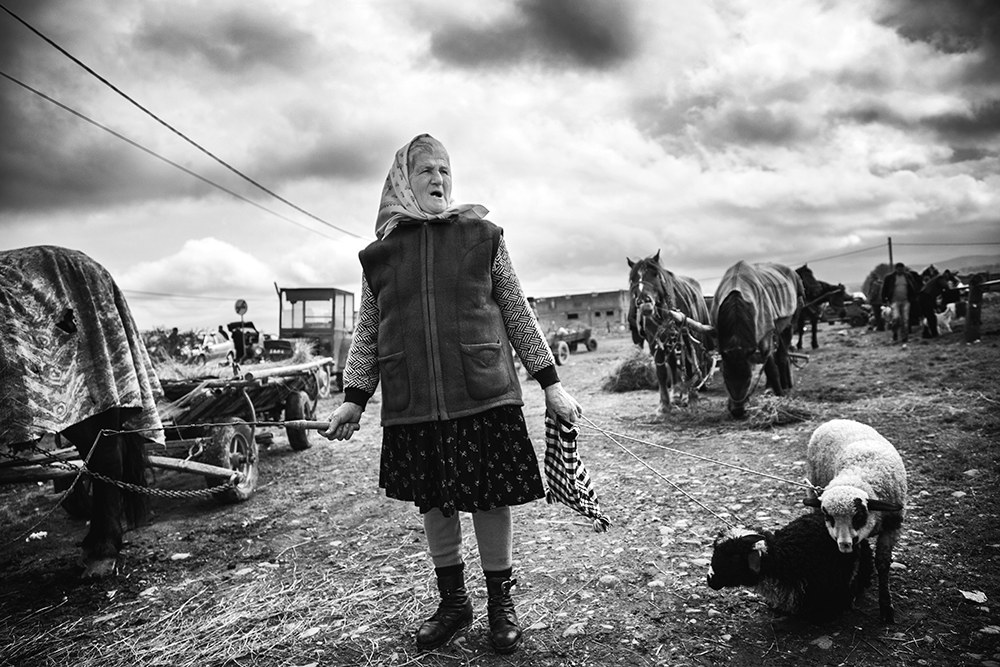 At the cattle market.