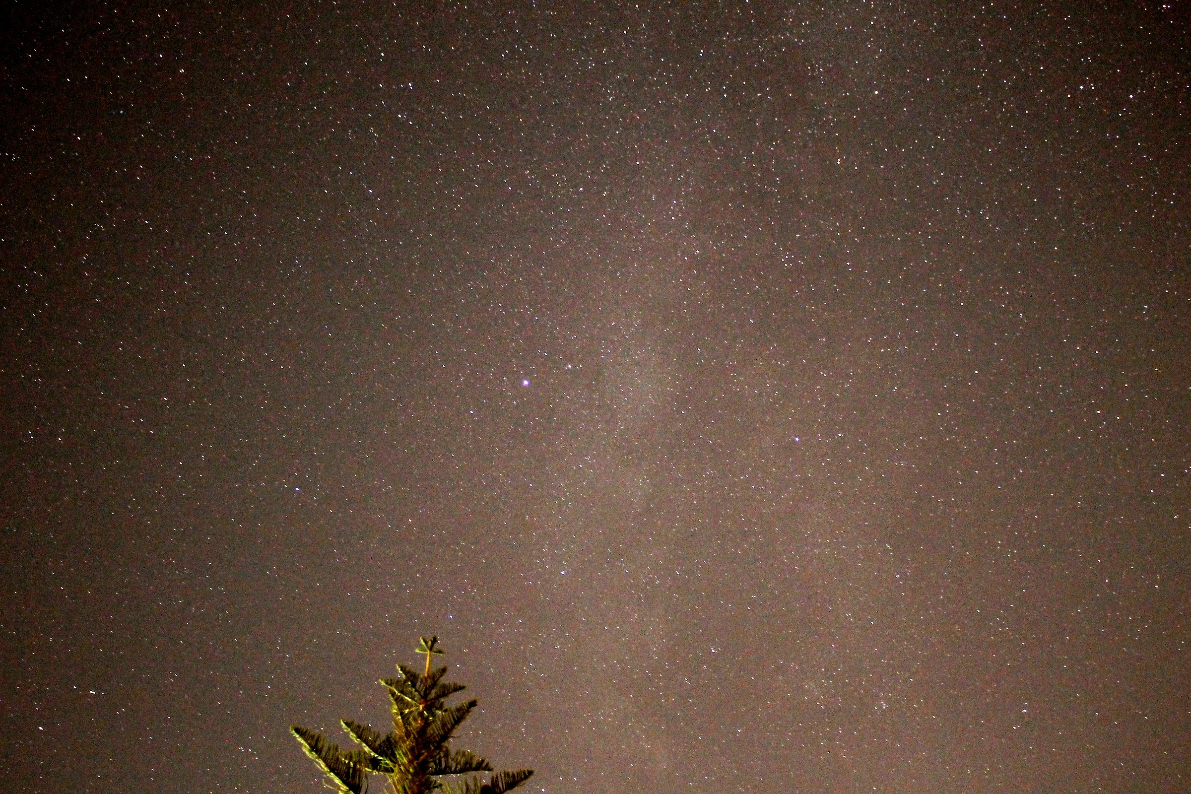starry sky of my house