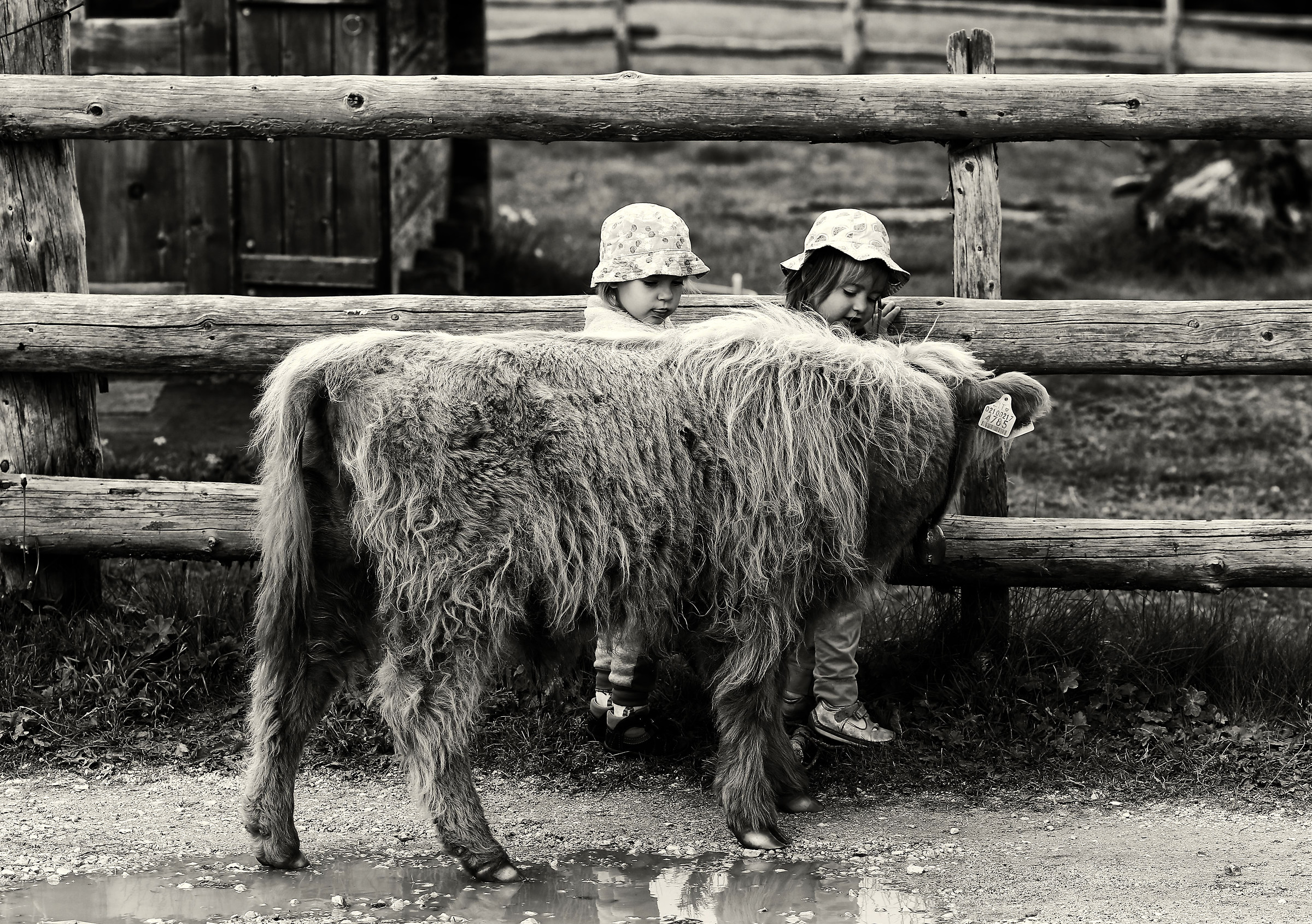 Encounters close to the Herb Pass