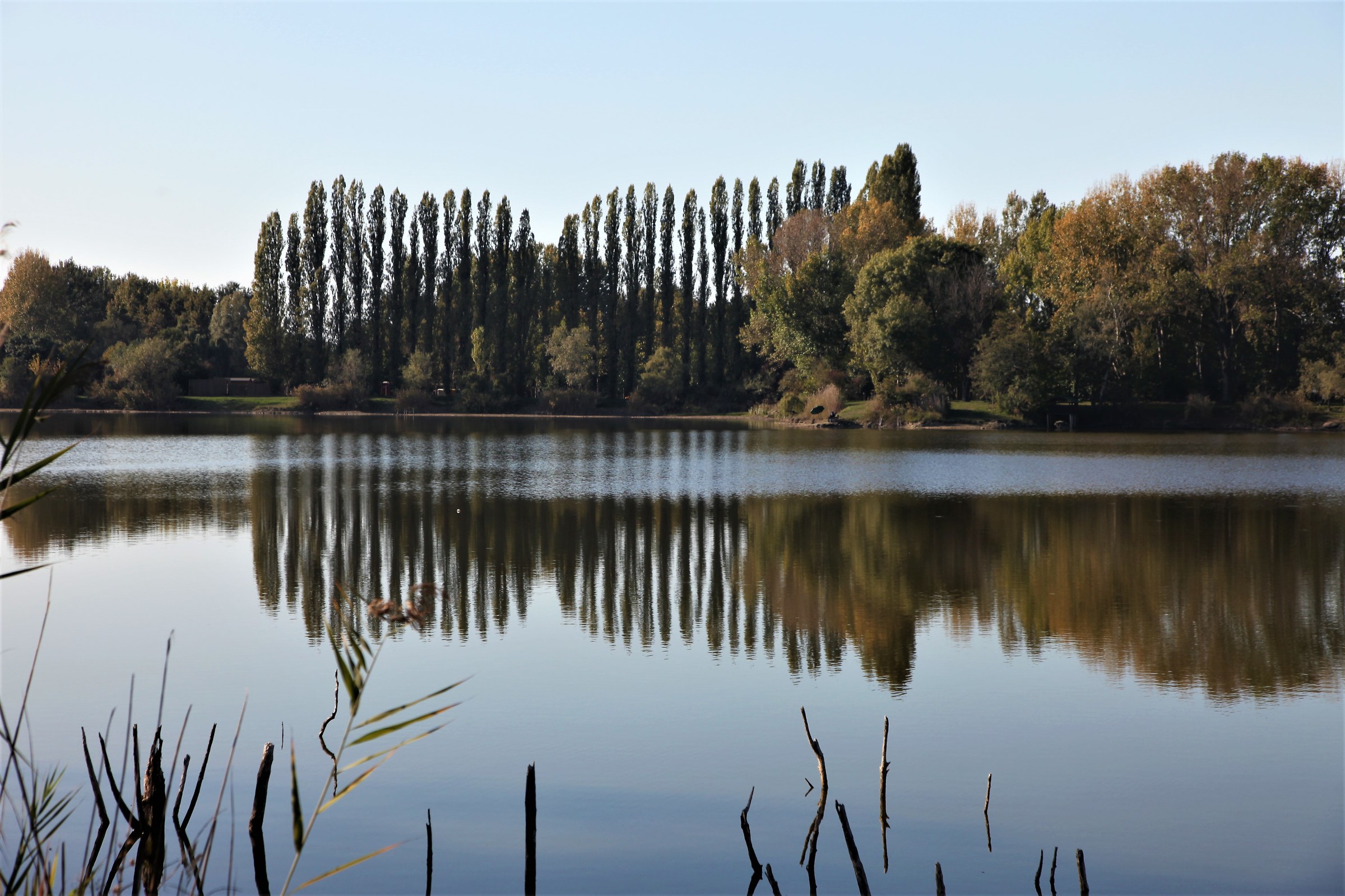 riflesso nel lagetto