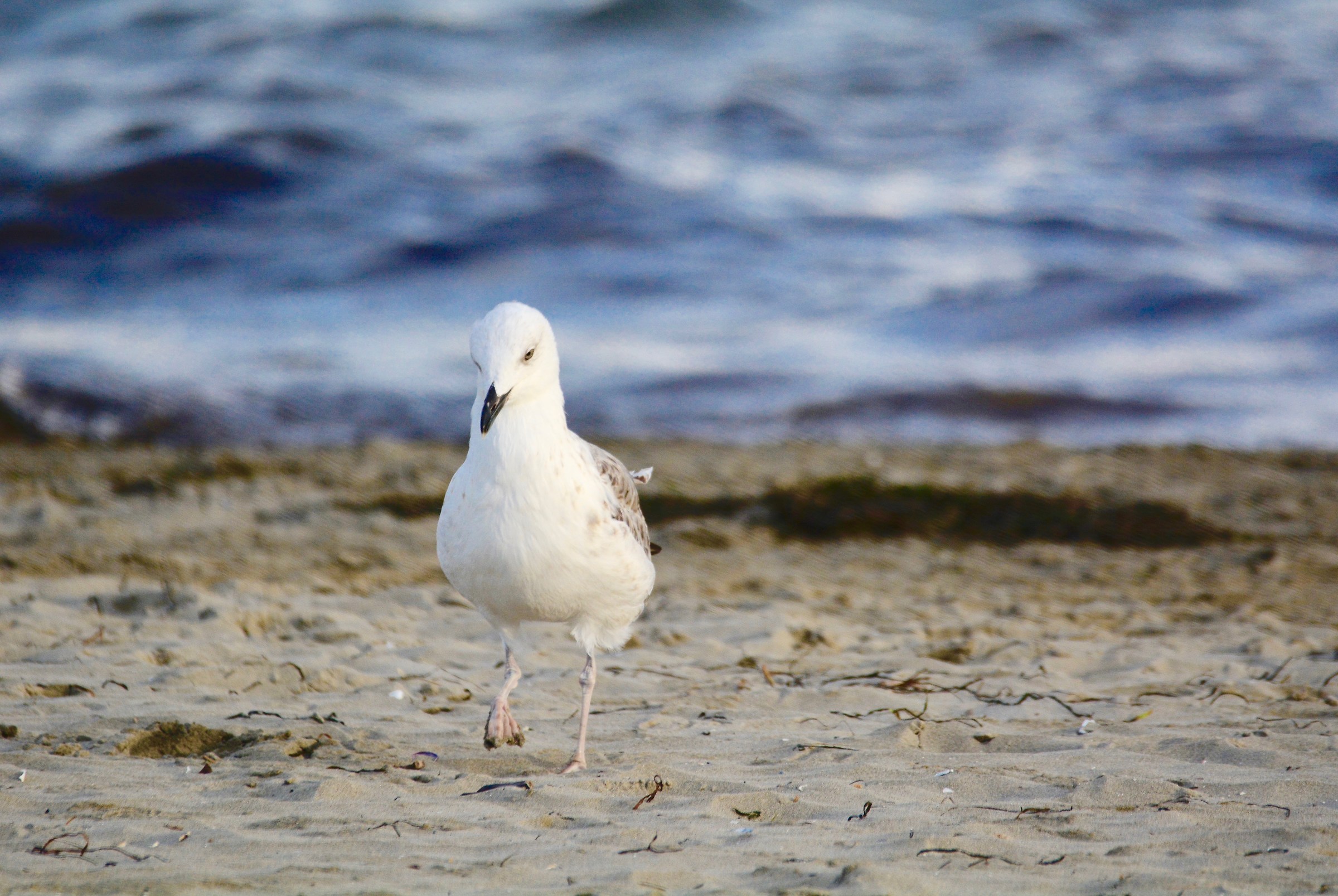 passeggiata pensierosa