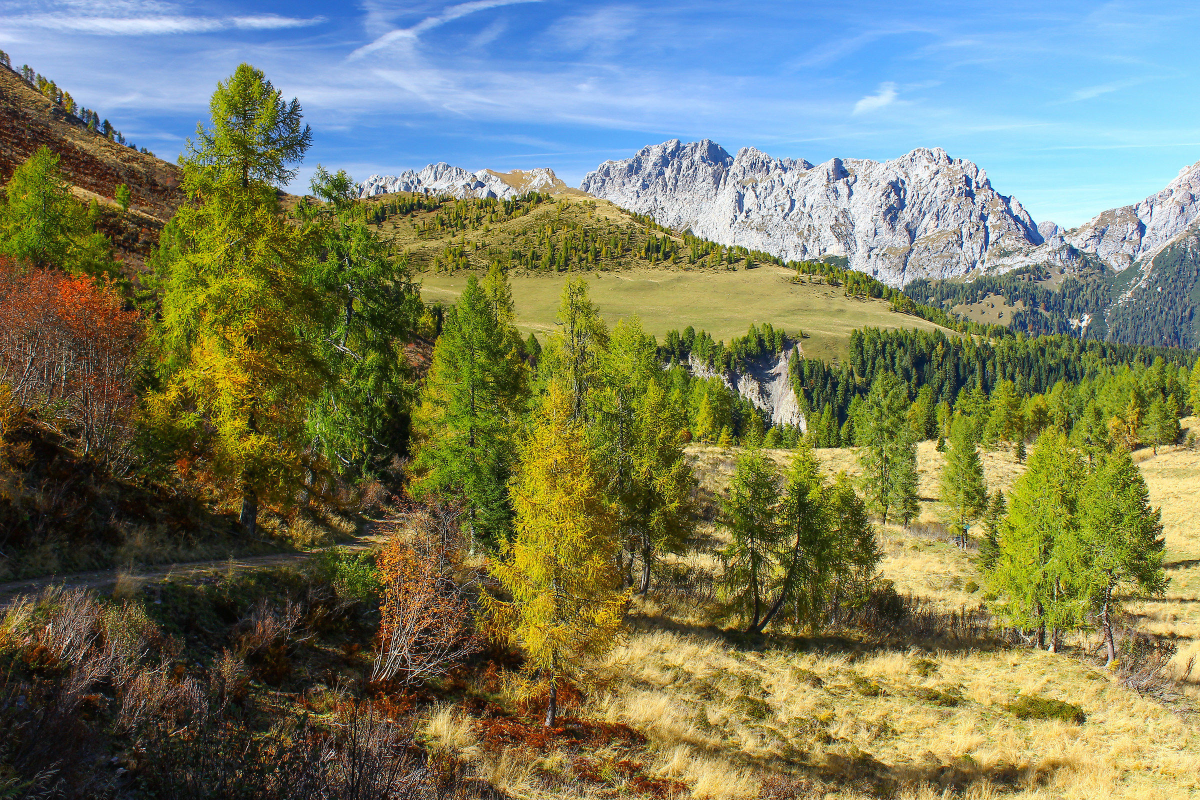 Postcard from Sauris