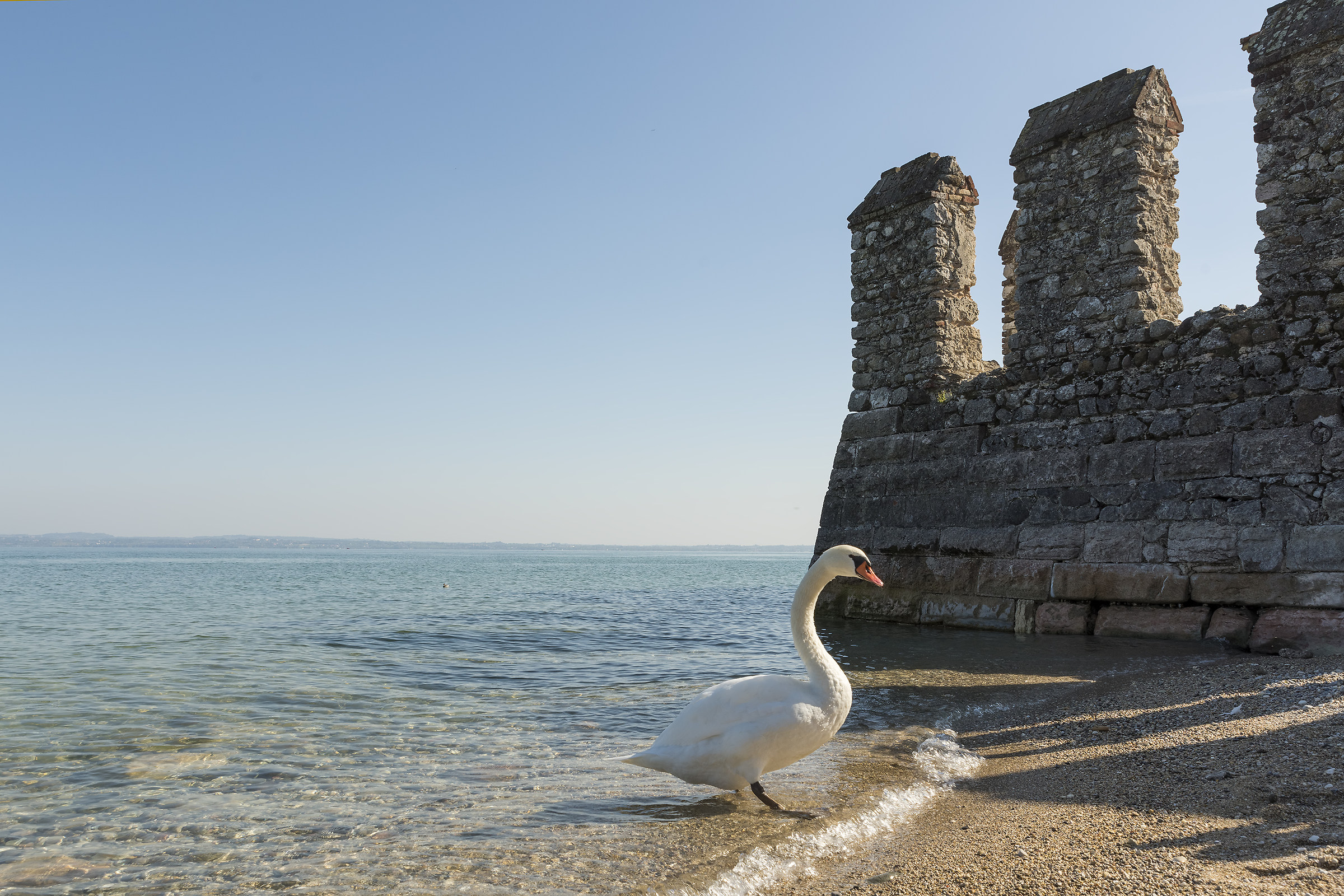 The king of the castle