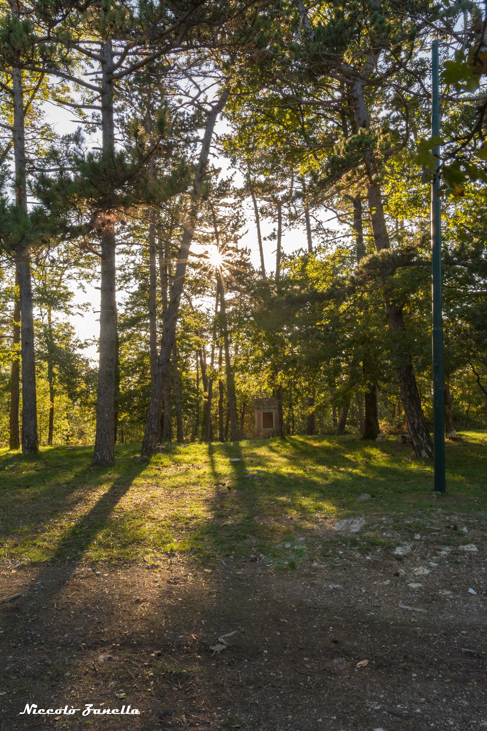 First foliage of 2017