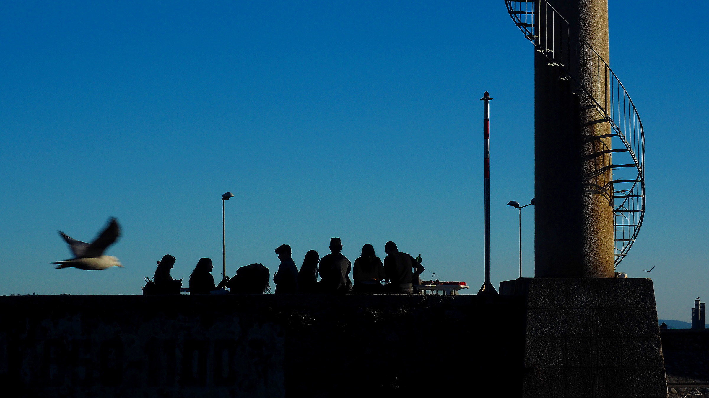 Untitled Photo