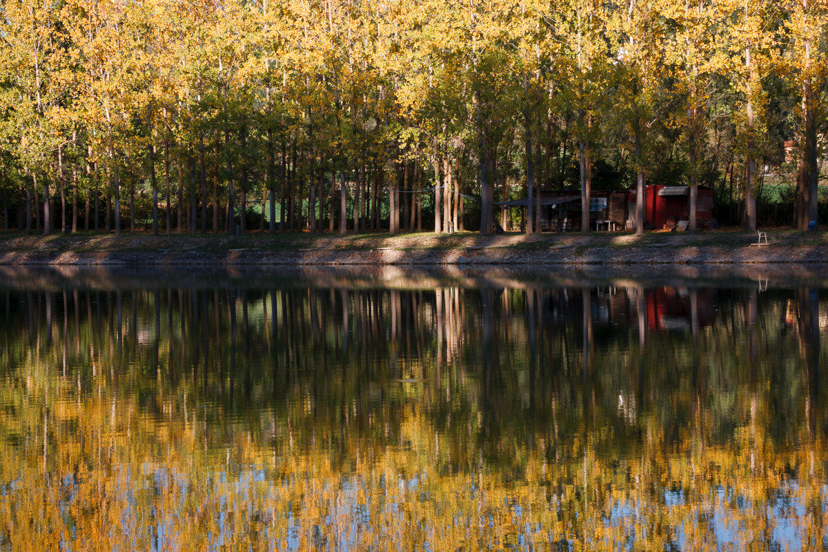 Autumn under house ...