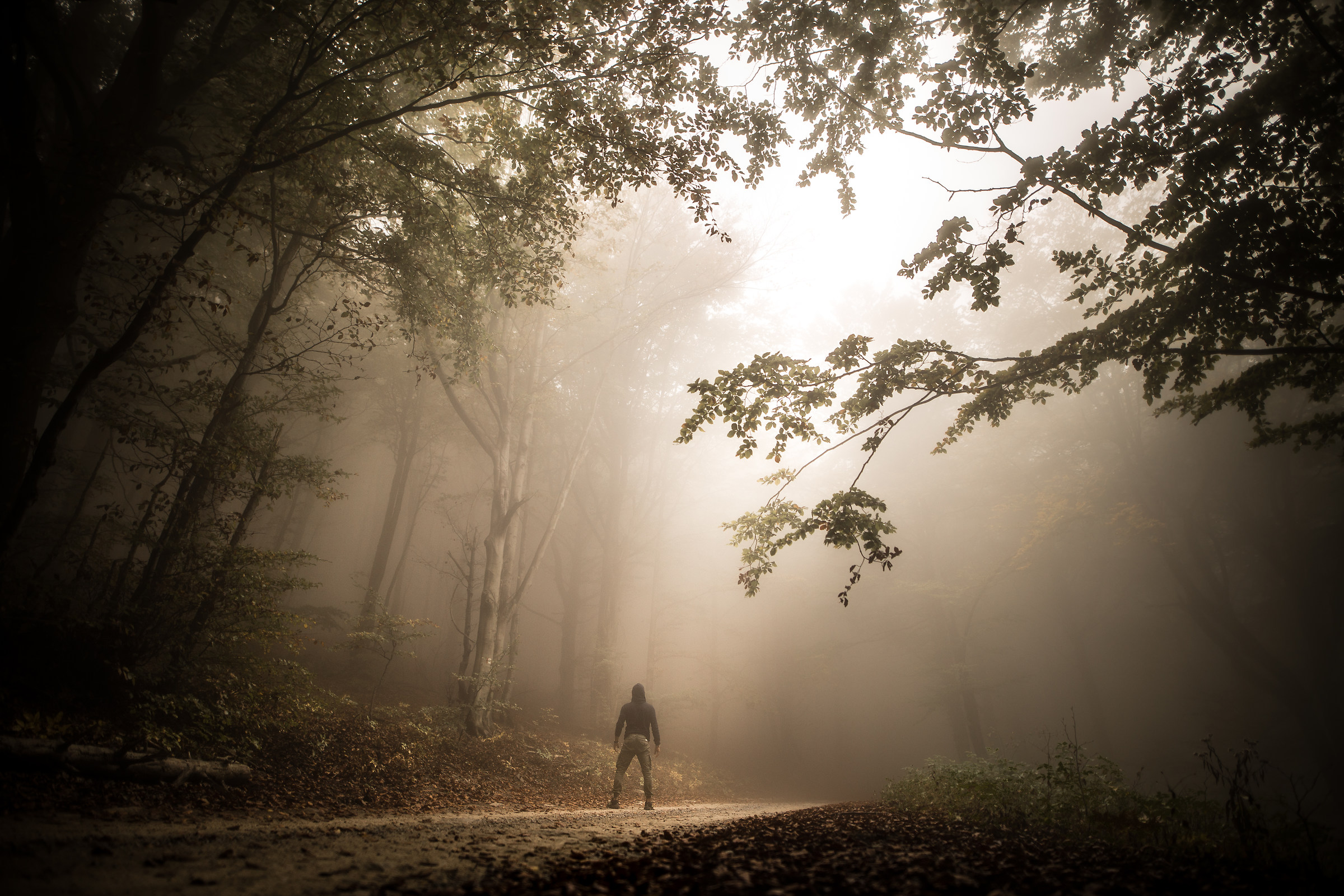 "My Autumn" .. selfshot