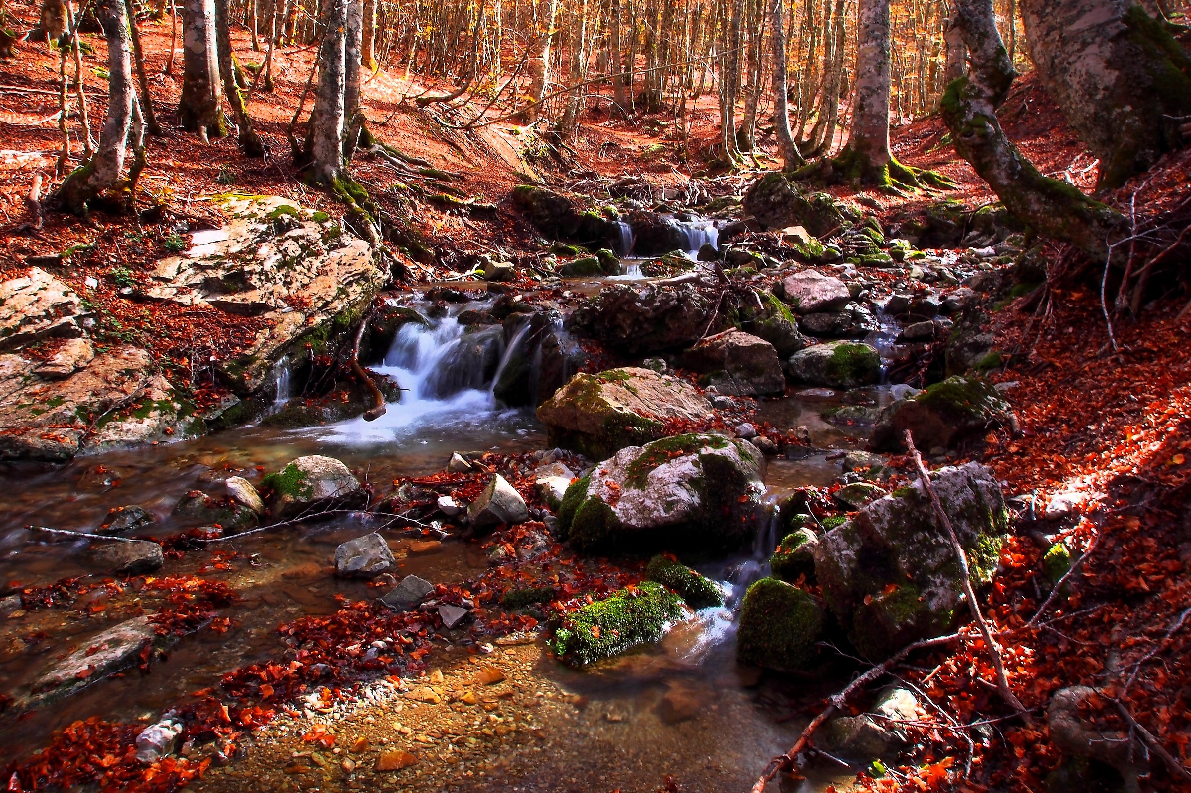 Water and leaves Fall
