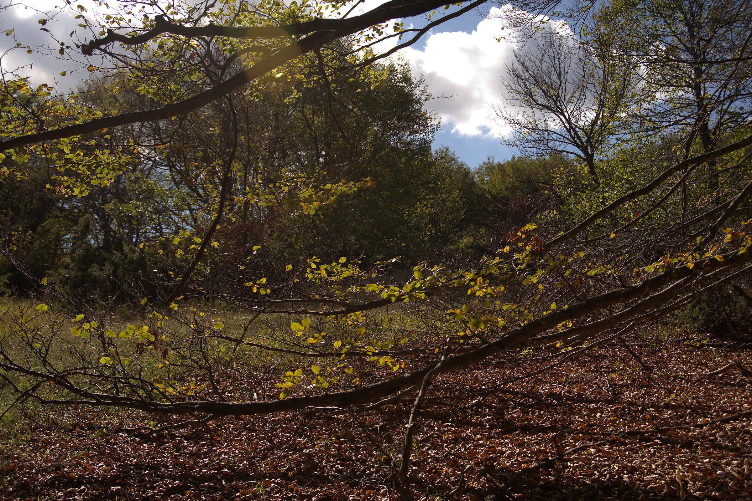 Heck at Colle San Giacomo