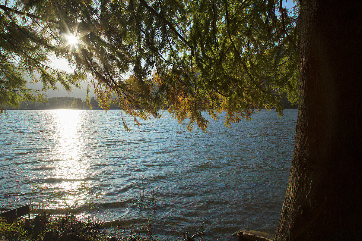 Shy sun rays of an autumn day