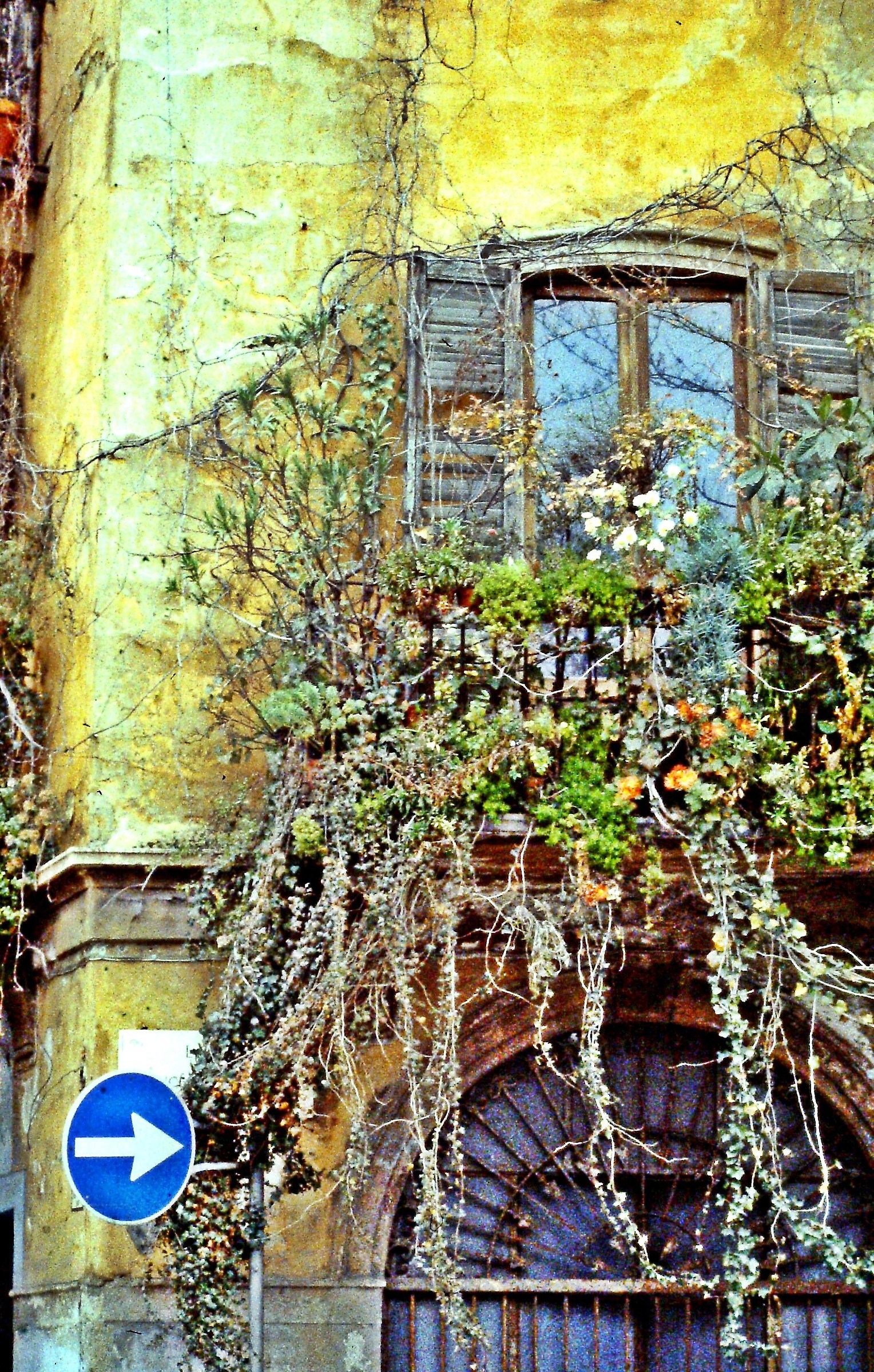 502 - lotta fra due disordini - MI Milano Via Pantano