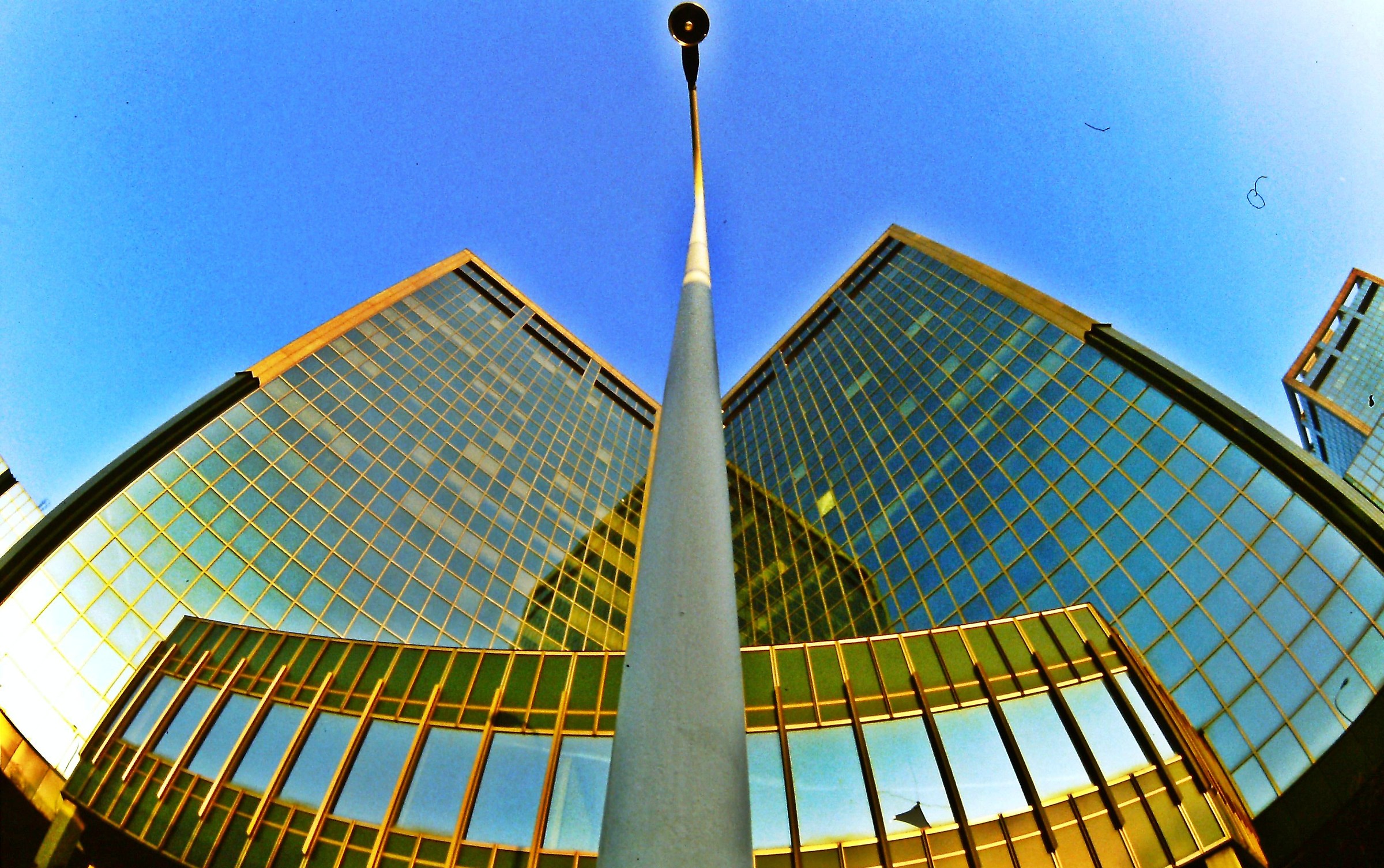 509 - il lampione curioso di quello laggiù sotto