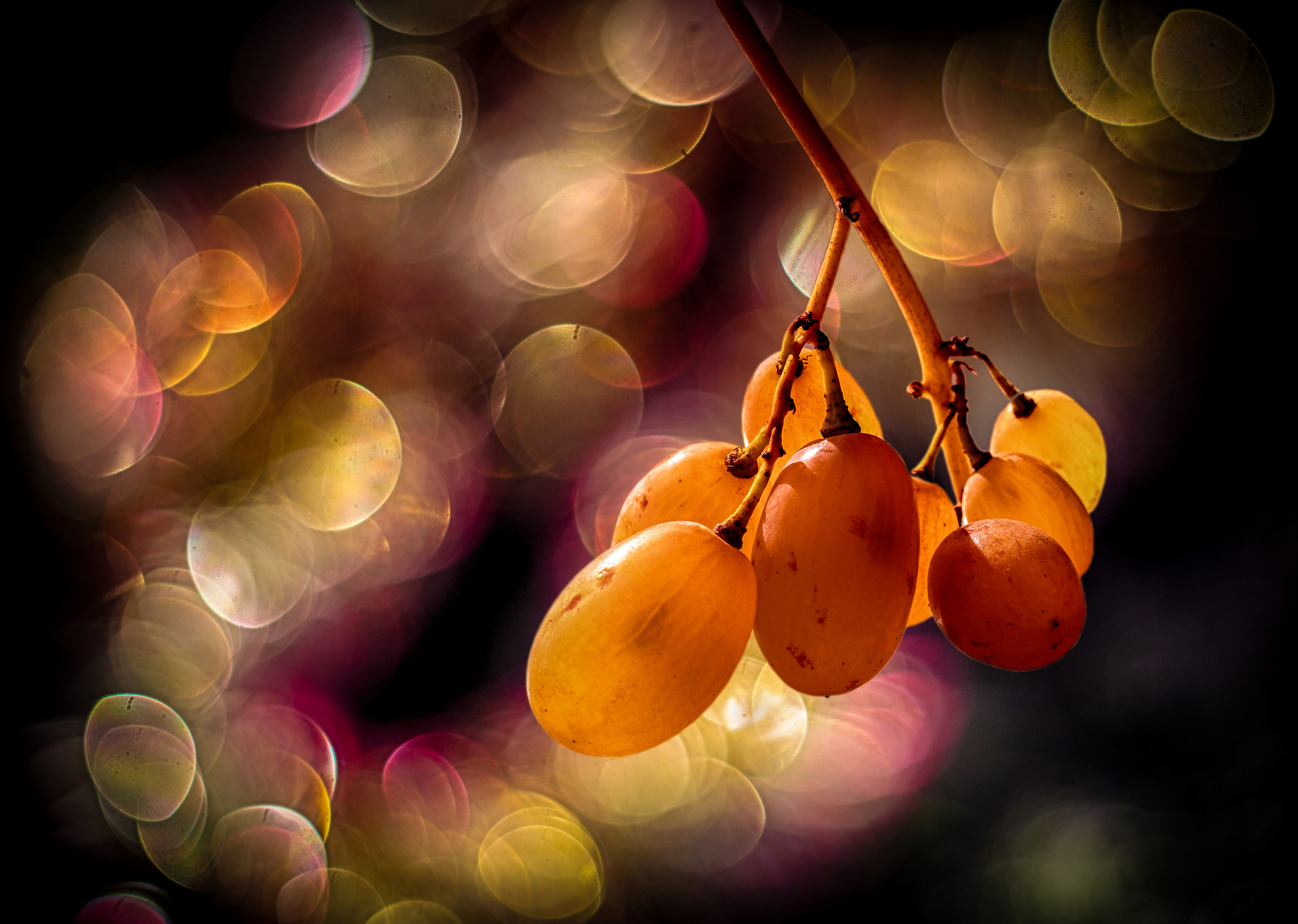 the last acines on the thread (mod)