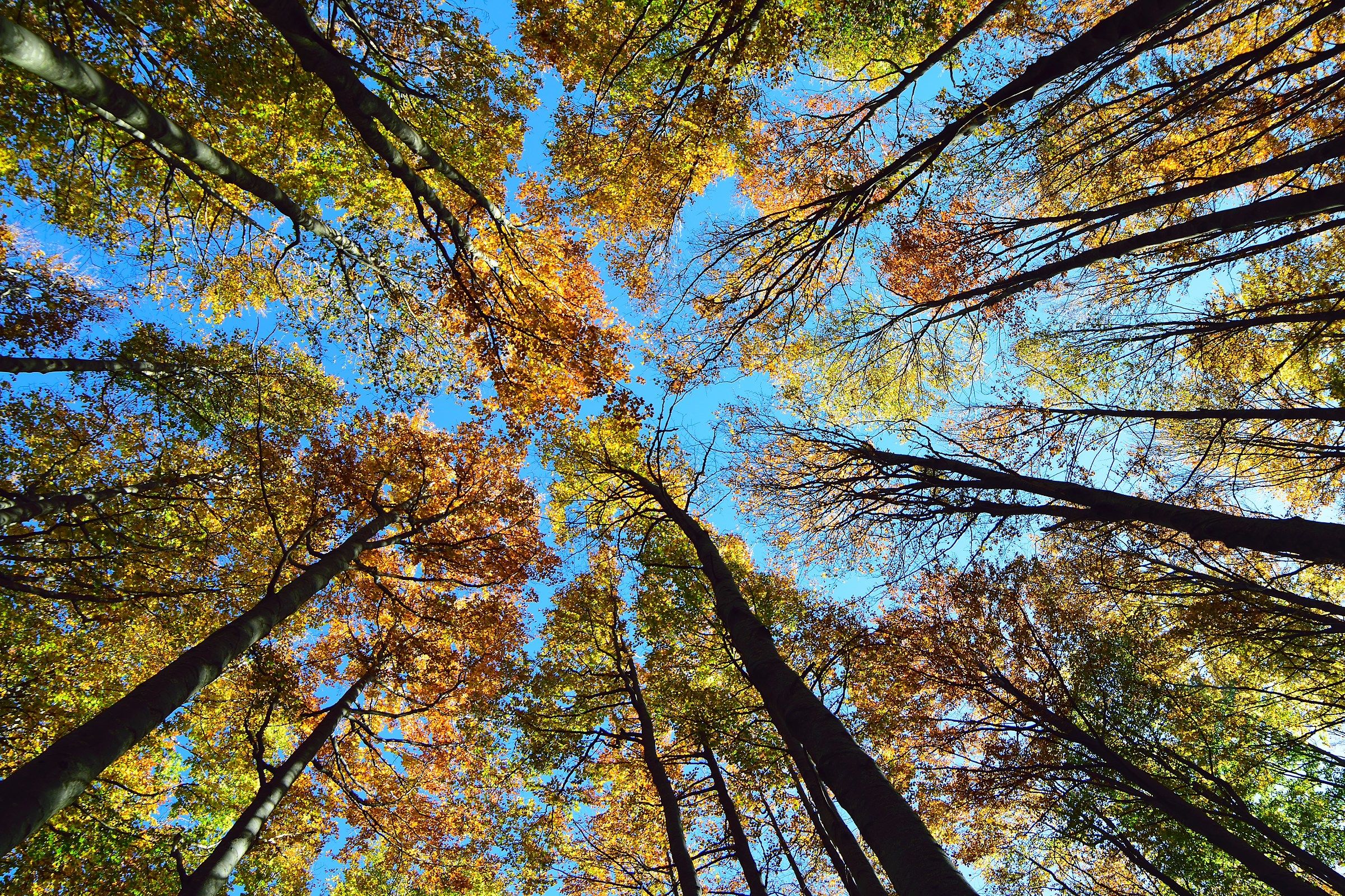 Sometimes you should look up