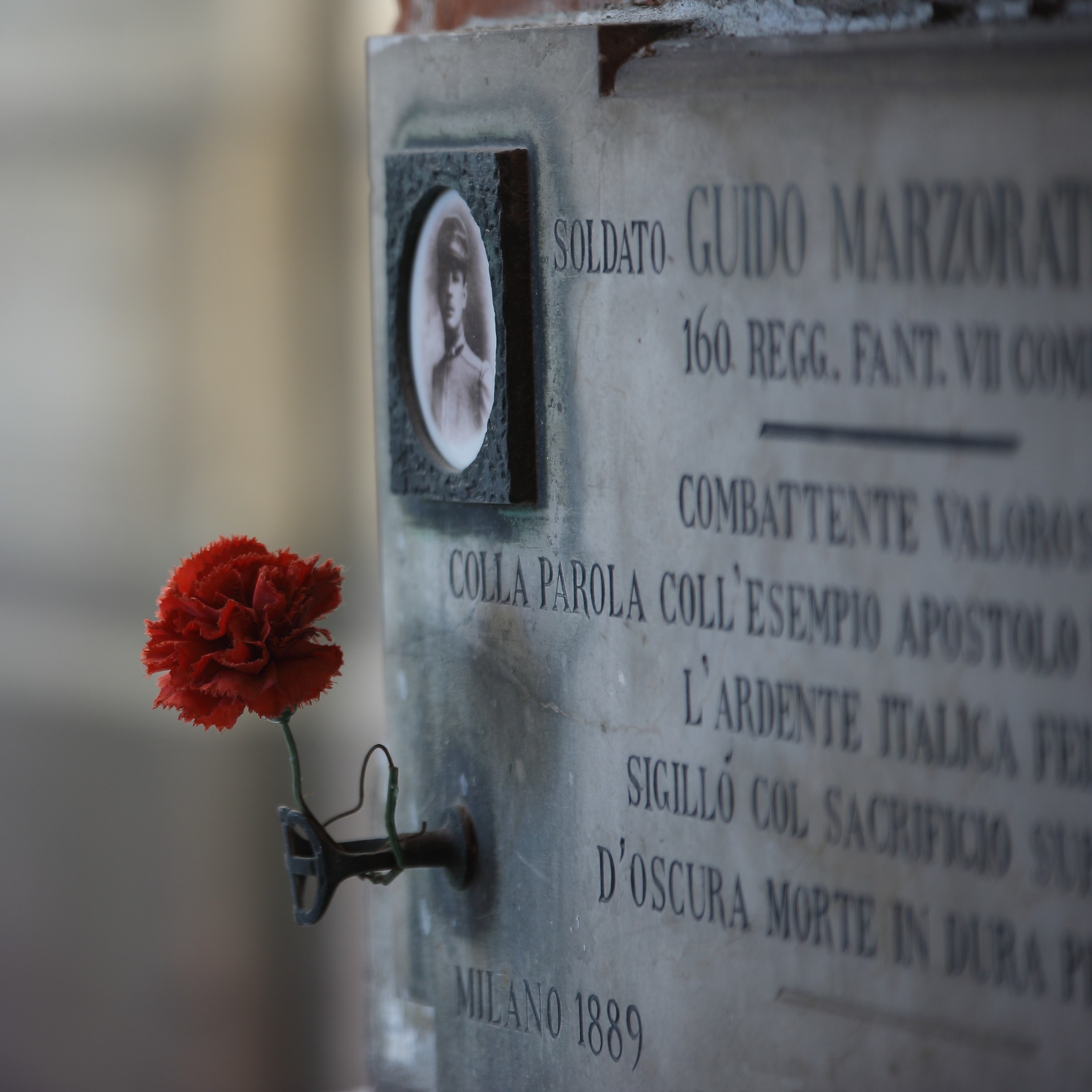 Un Piccolo Garofano rosso