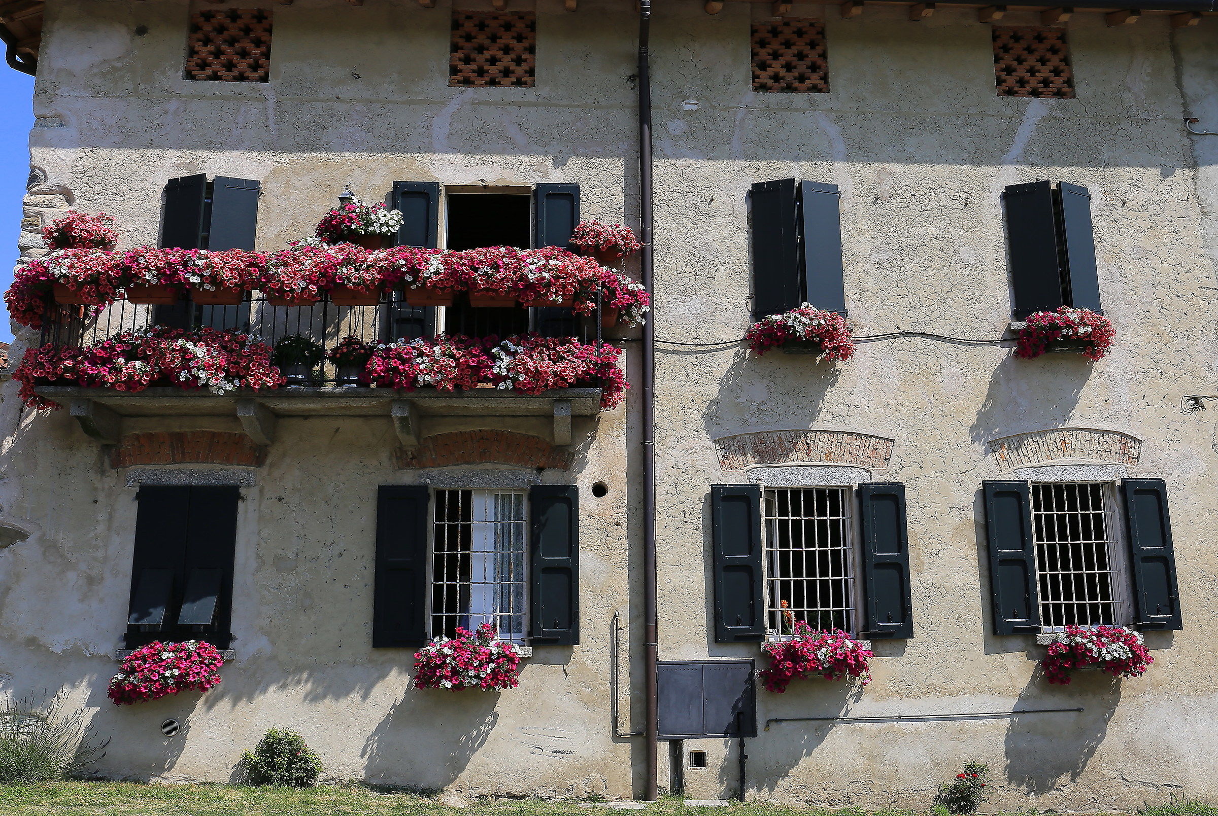 Scorcio fiorito della Brianza