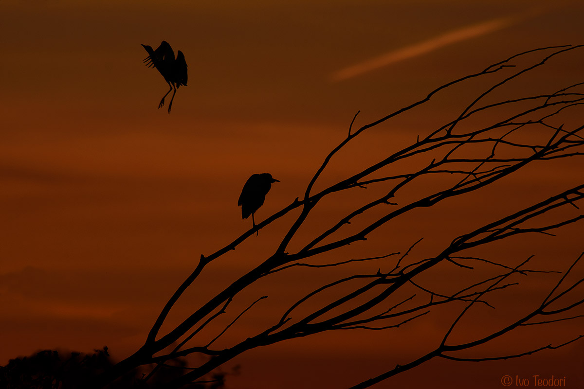 Good Night Vallette.