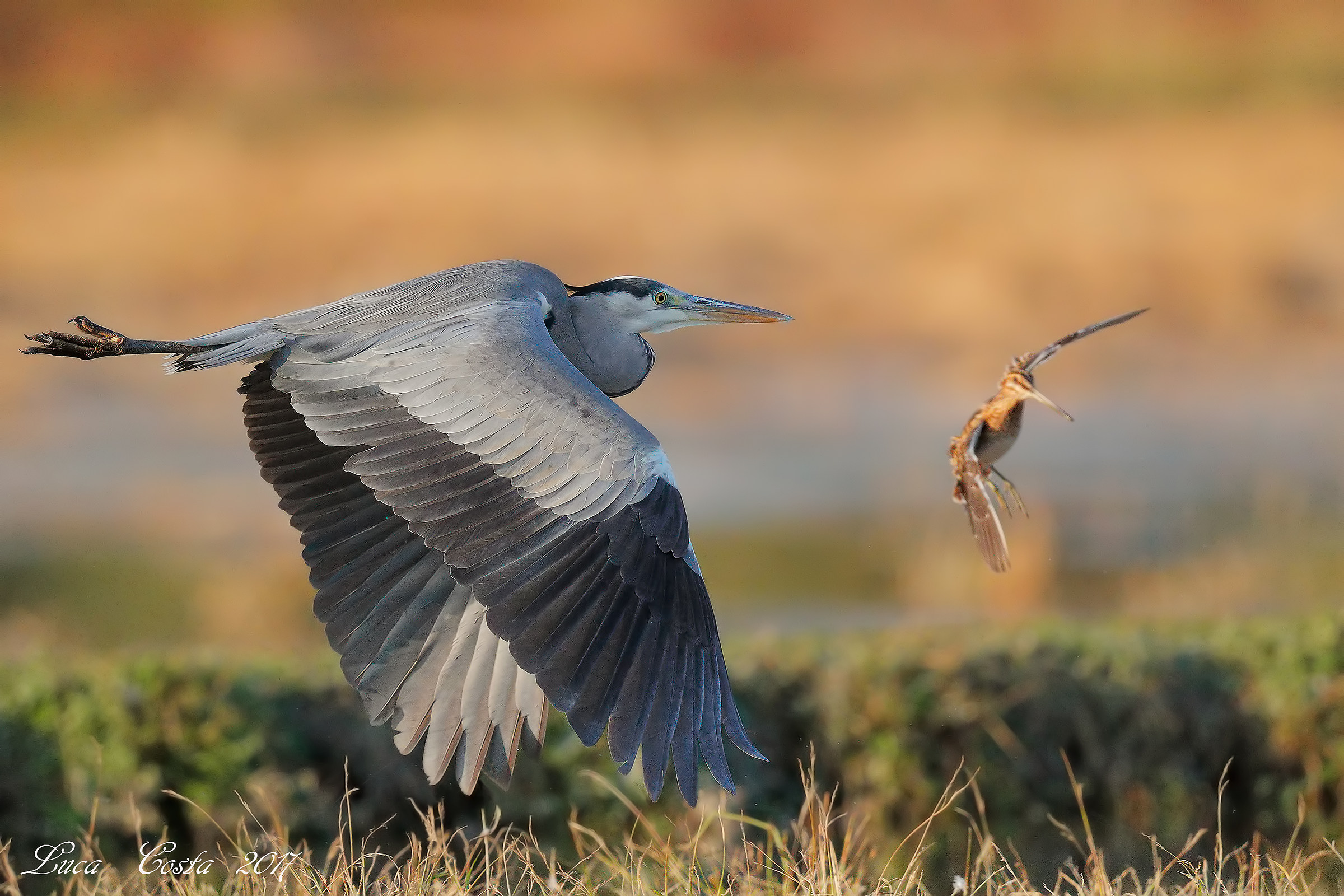 Flights to Mattinieri