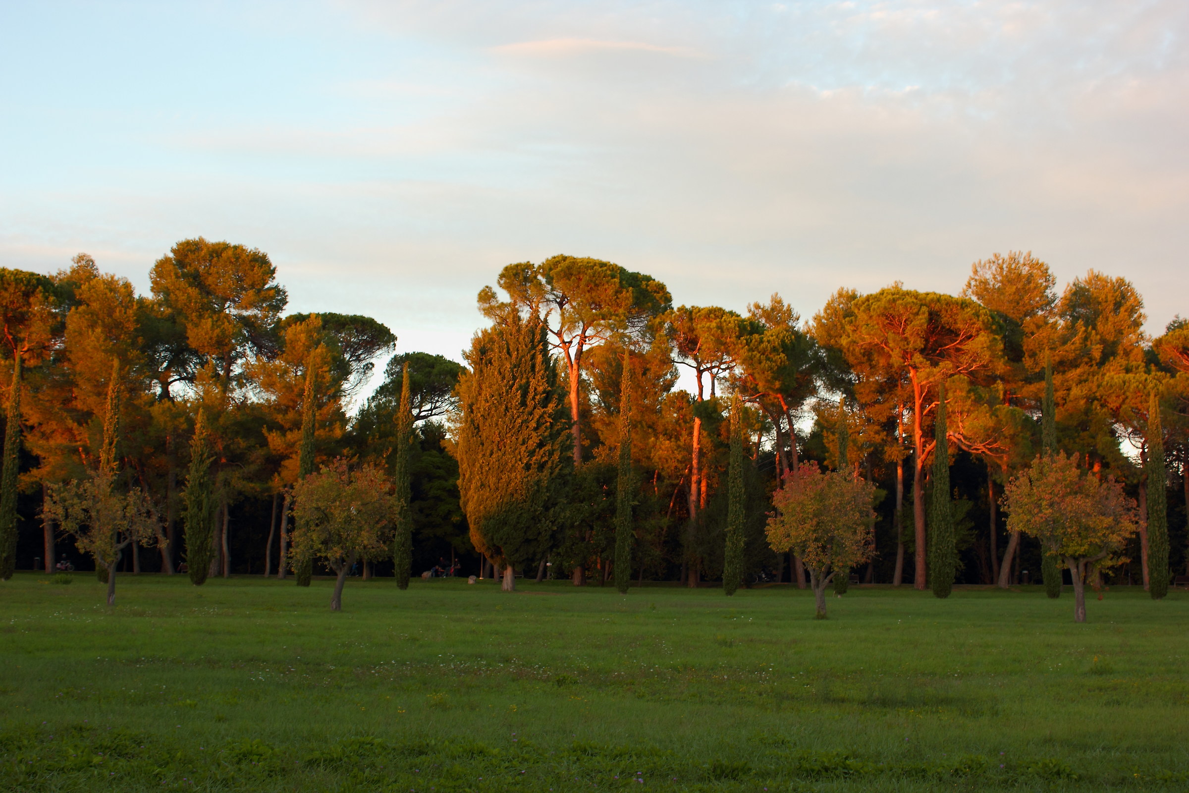 Parco Miralfiore al tramonto
