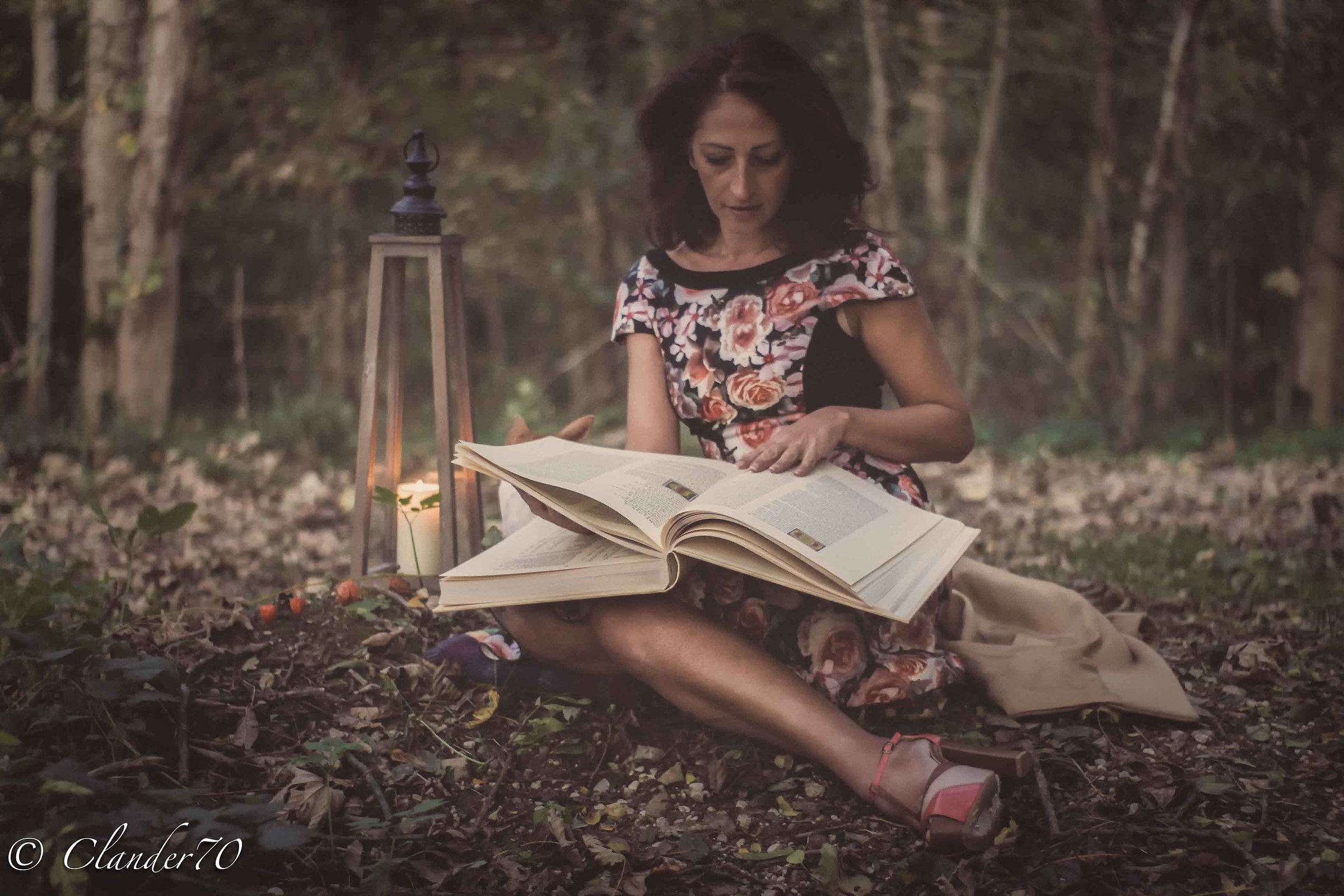 The fairytale in the woods