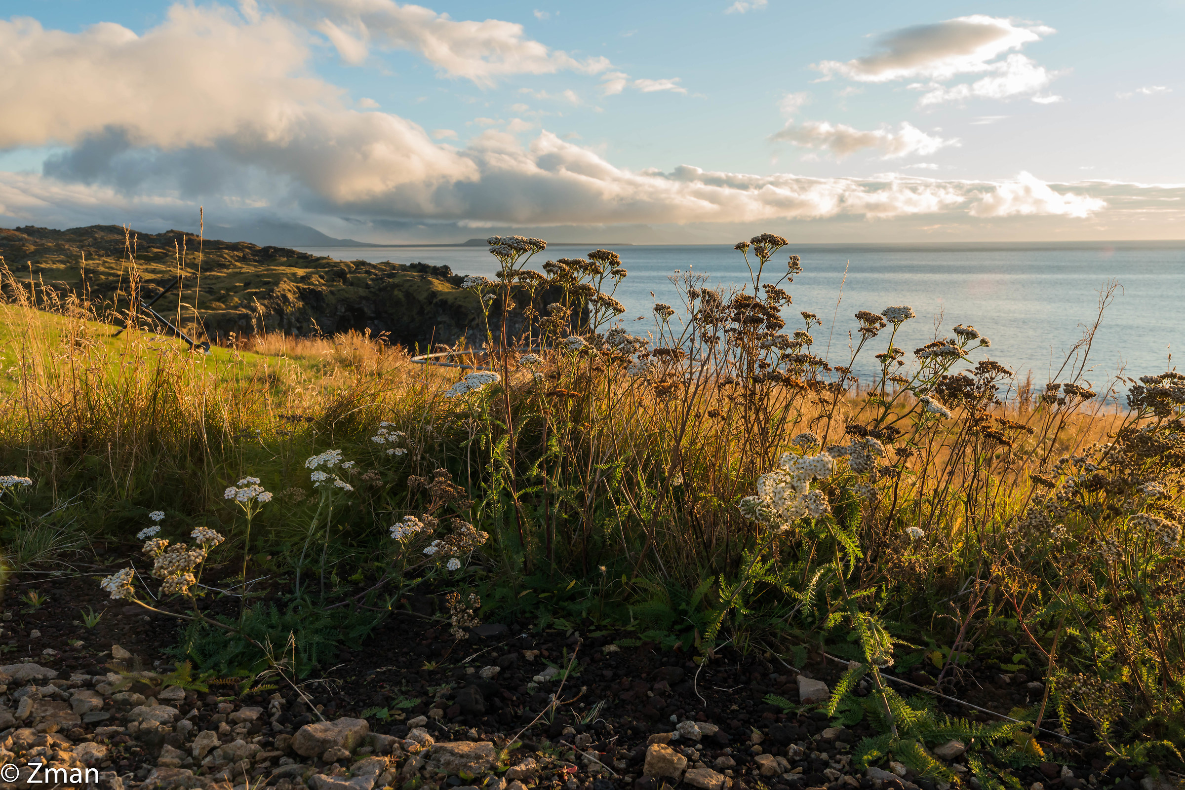 Affacciato sulla spiaggia di Hellnar