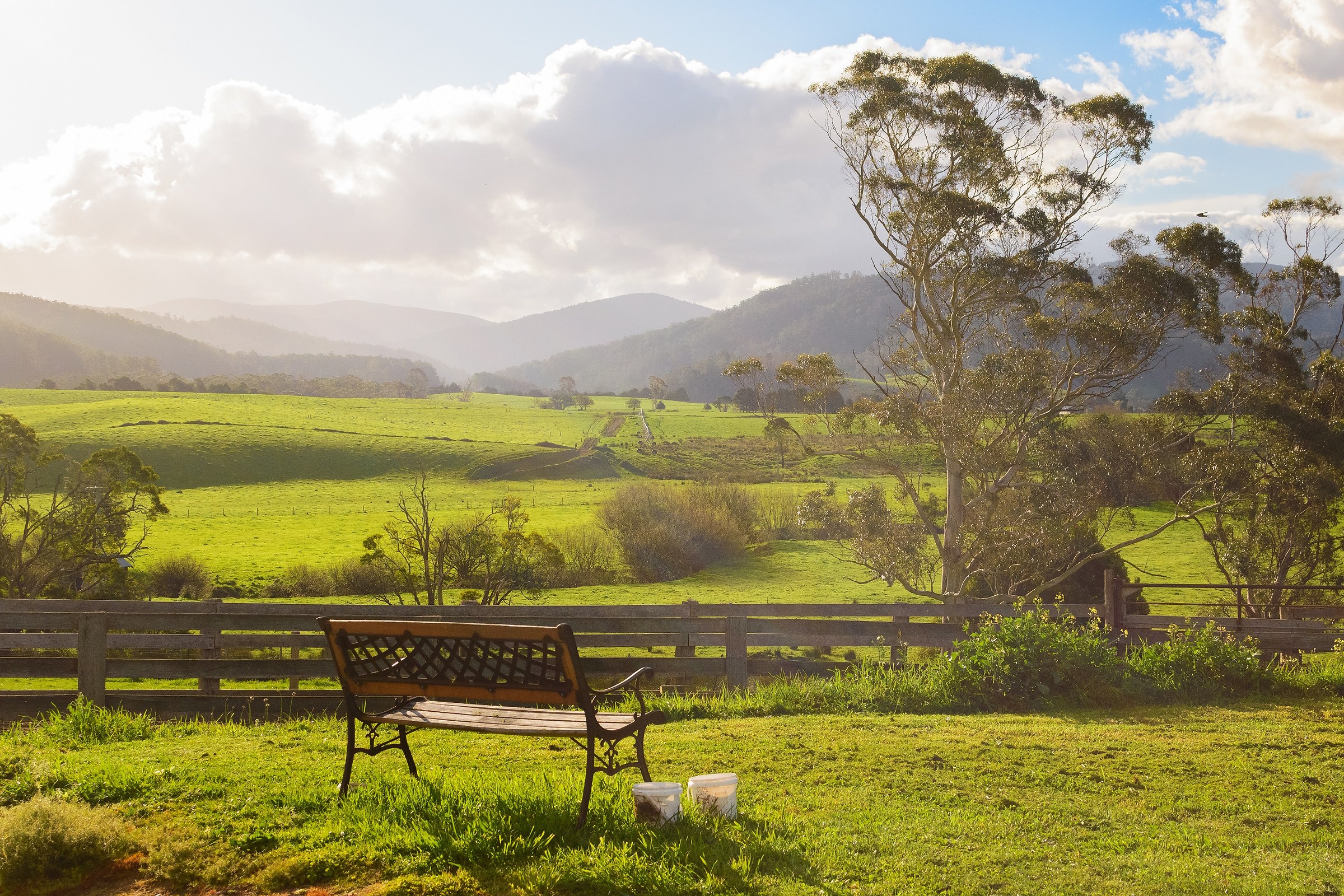 Purità di sovraesposizione