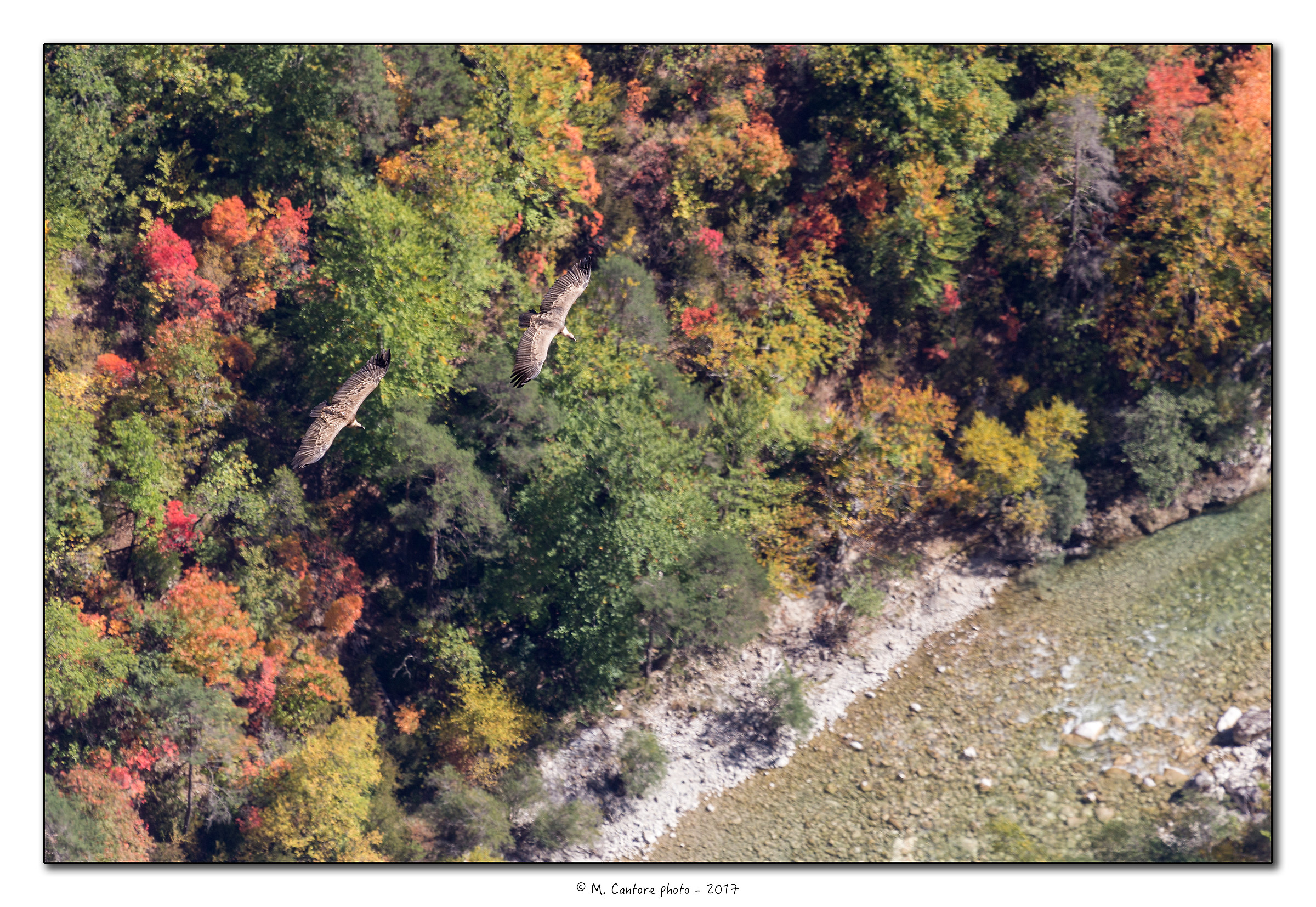 Couple over the Verdon