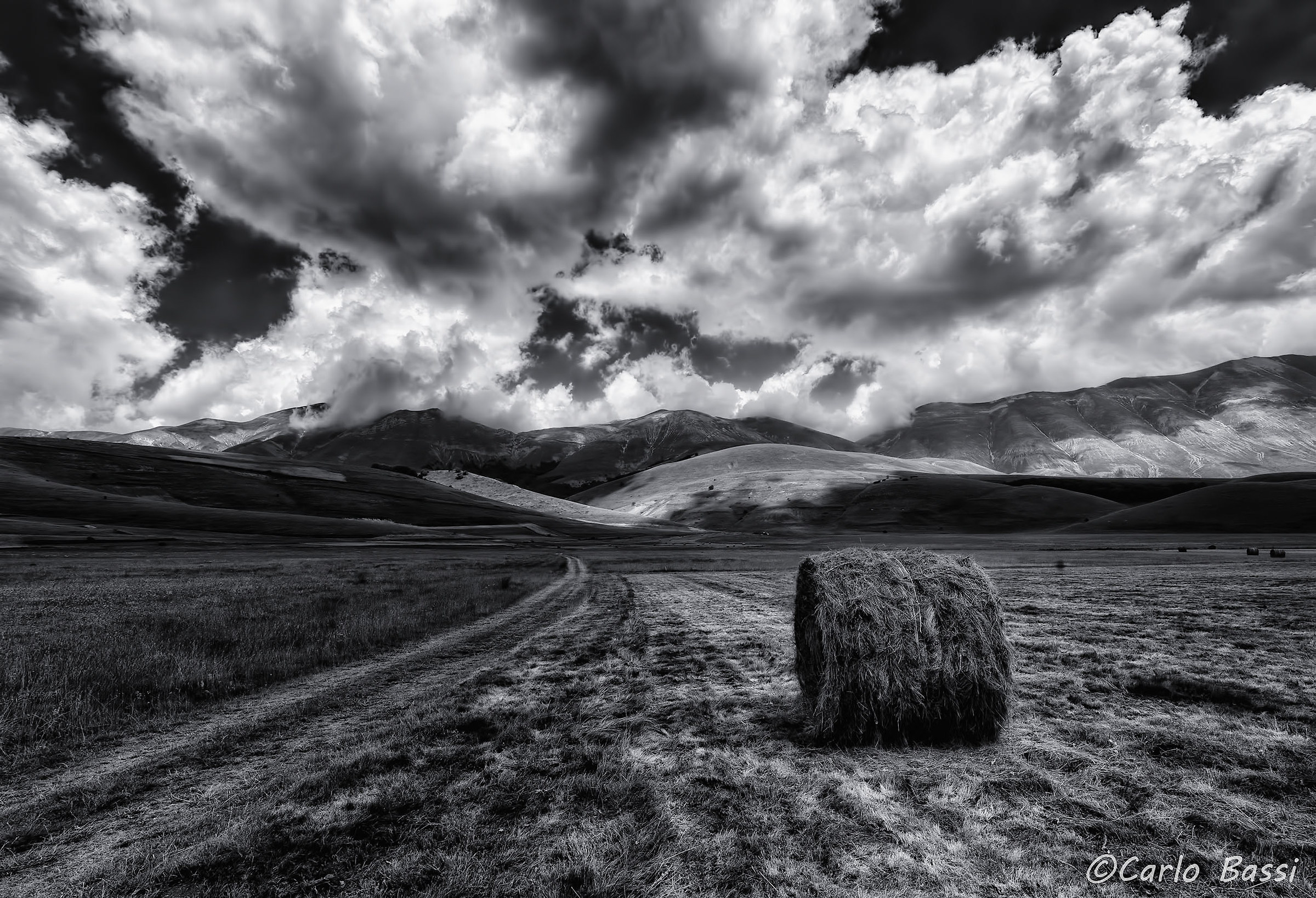 Anche le rotoballe ammirano i paesaggi