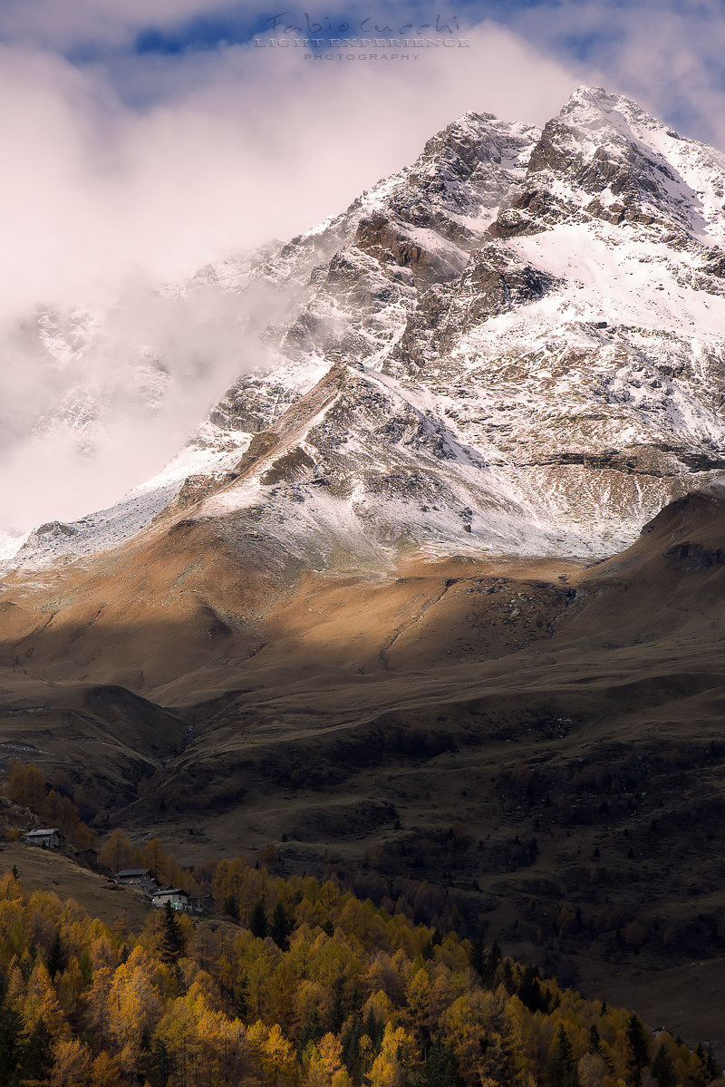 the Colors of Winter