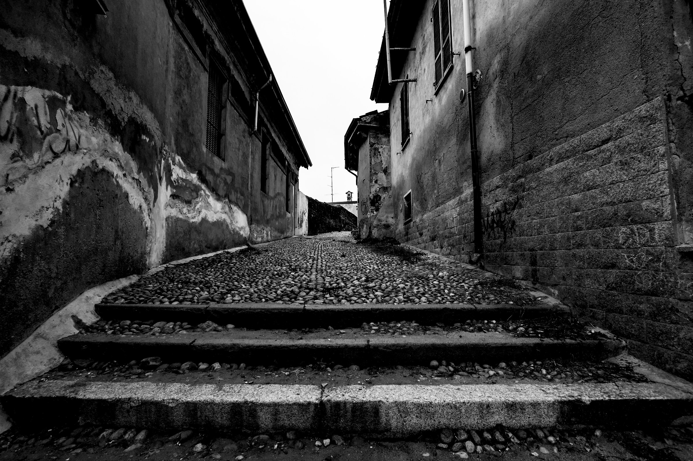 Attentive to the steps