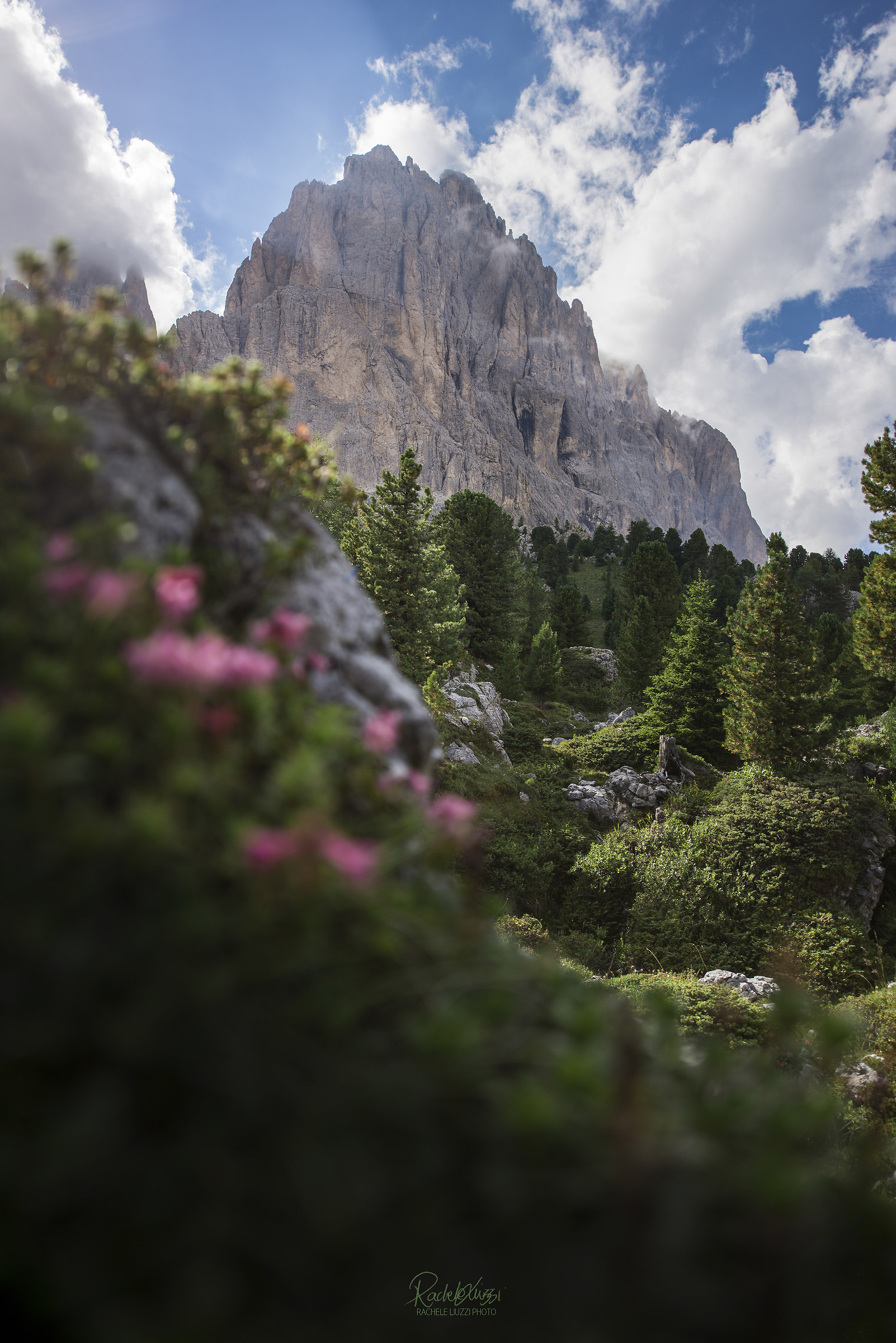 Passo Sella, Dolomiti