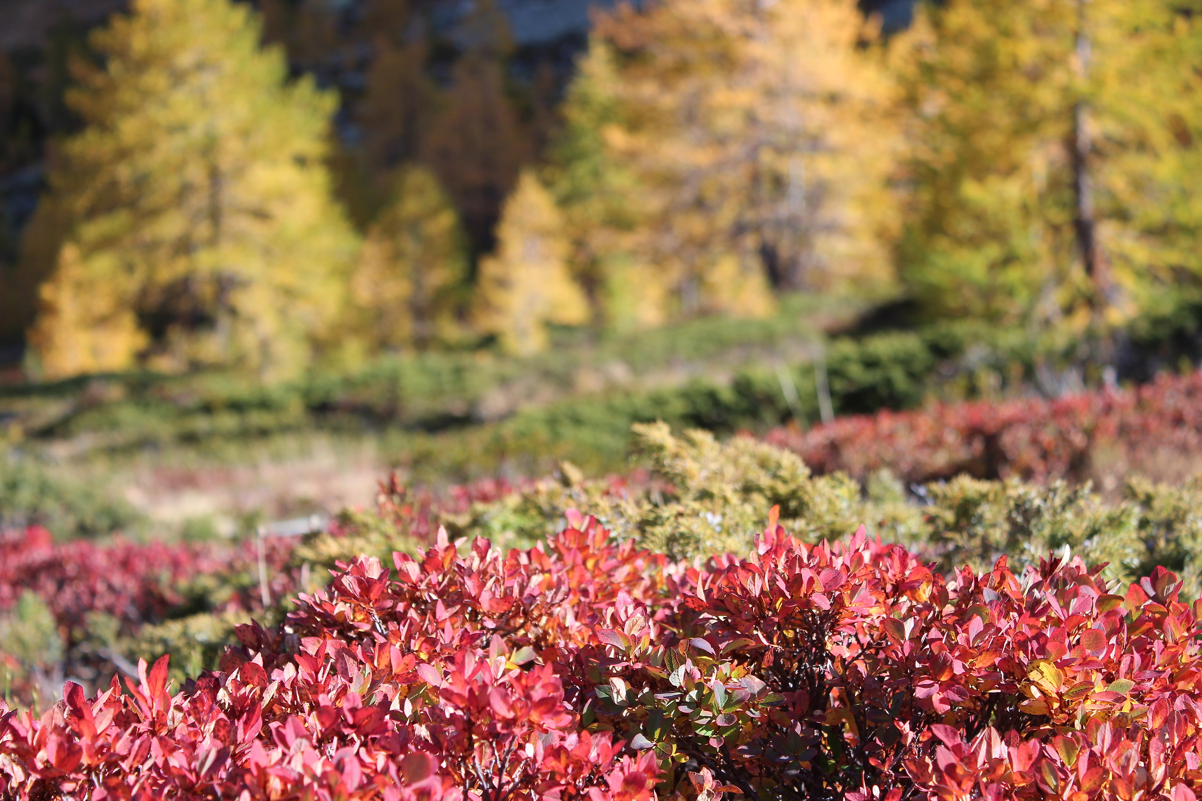 Colori d'autunno al Lago D'Arpy