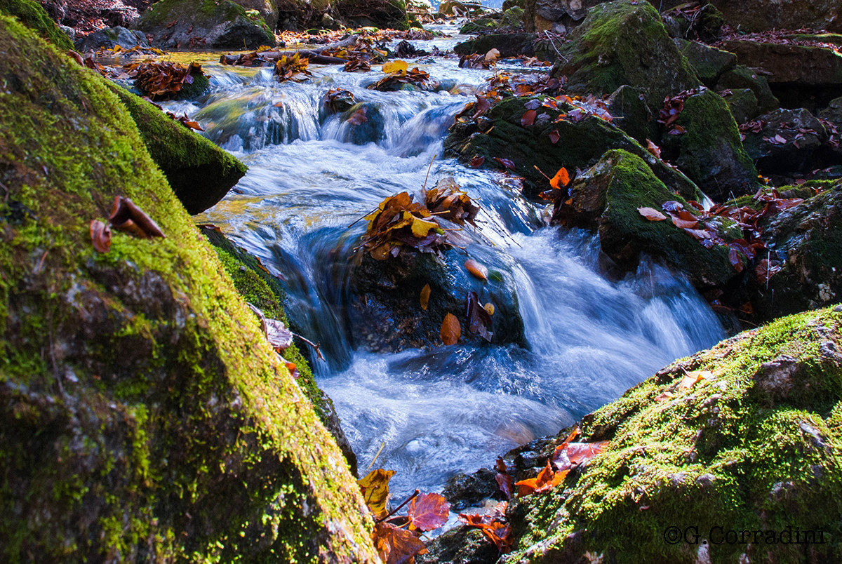 and despite all the water flows