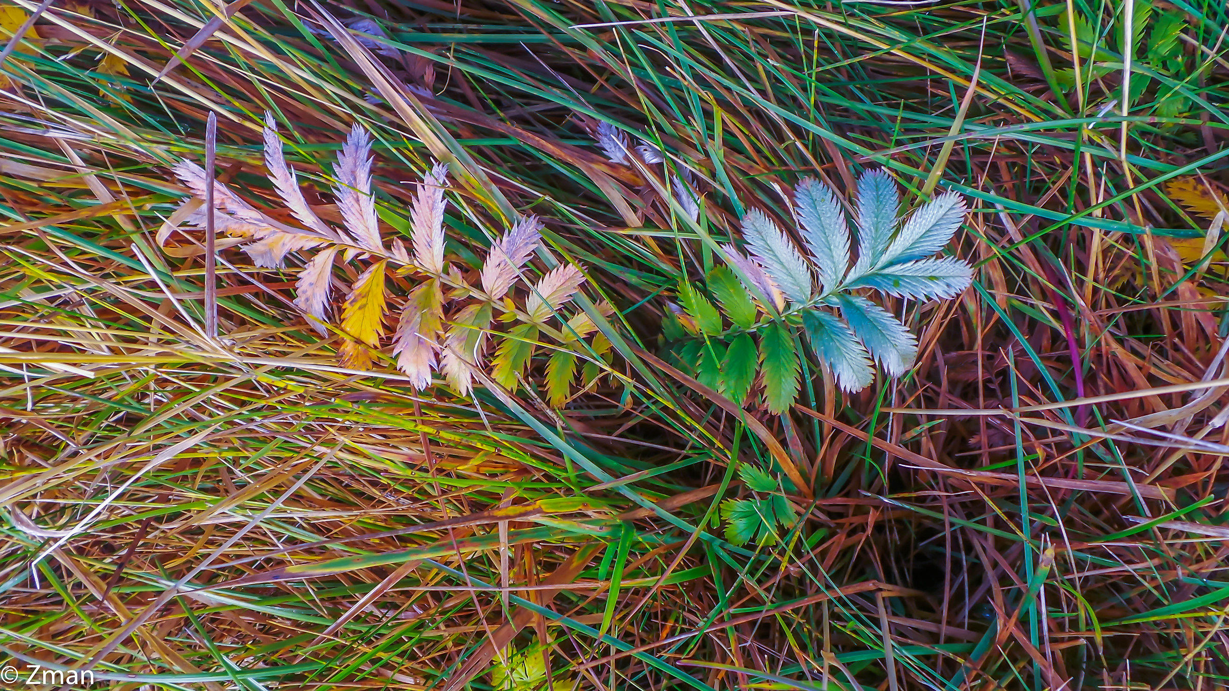 I colori dell'Islanda