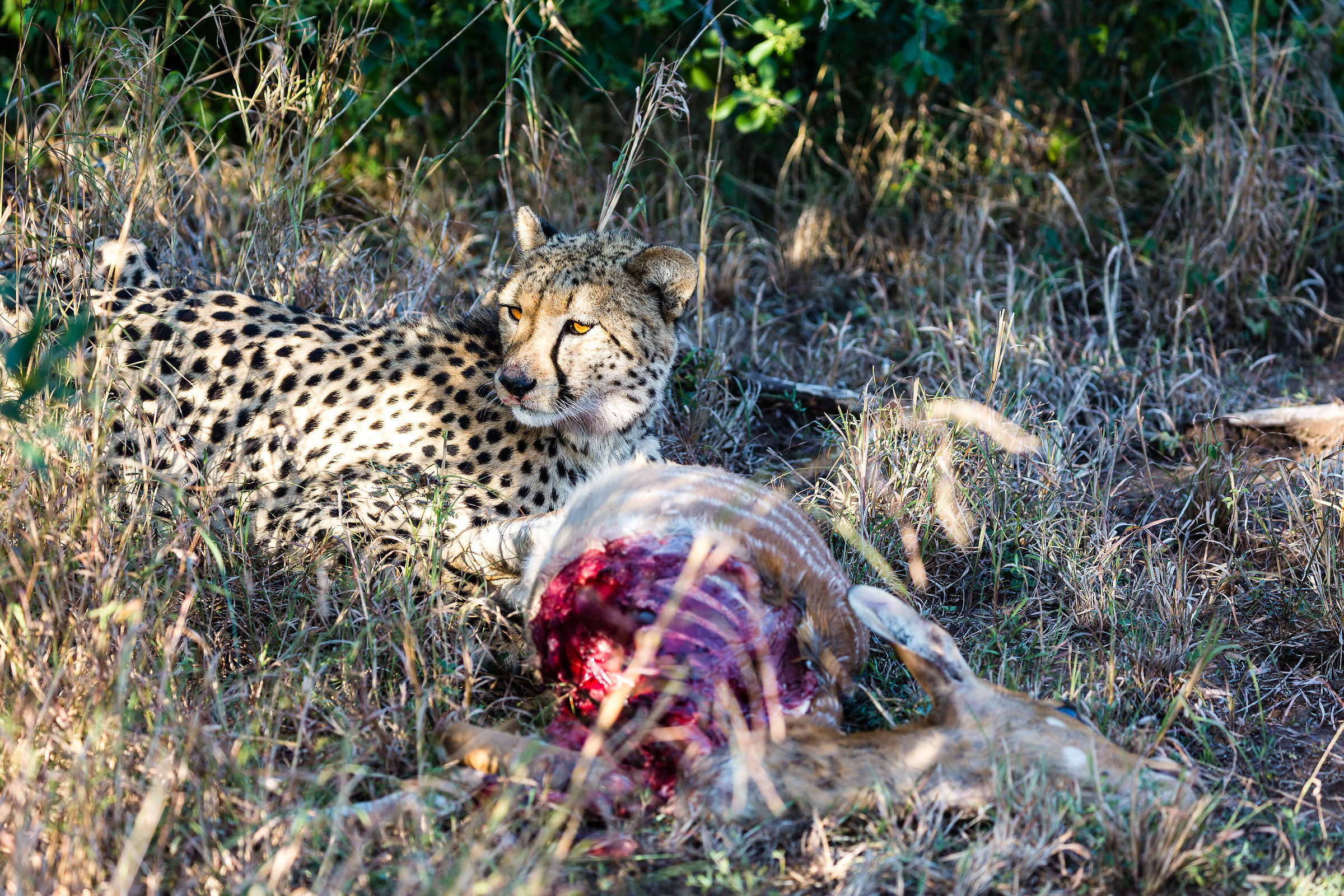 Anch'io voglio la mia parte