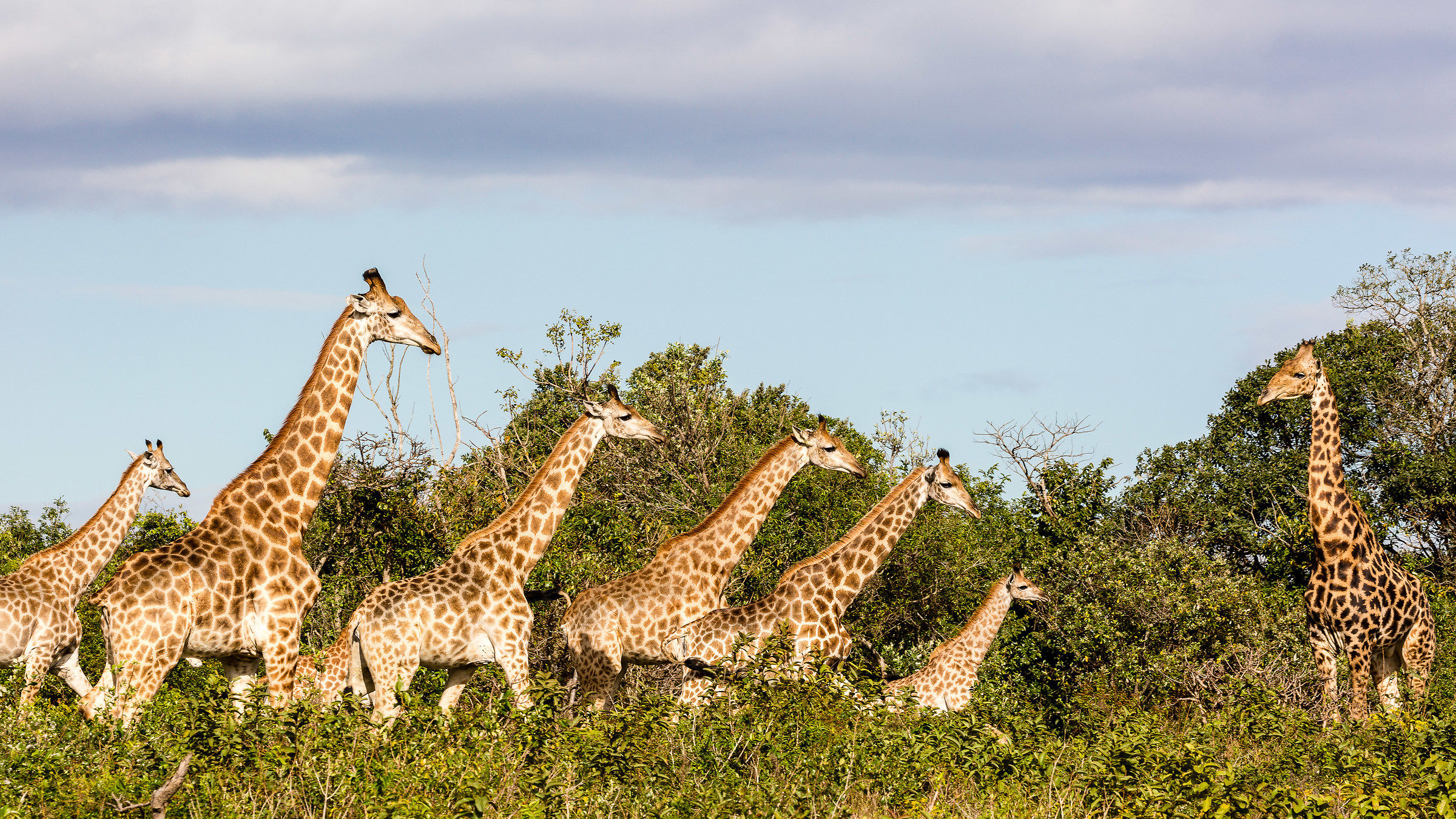The teacher and the schoolboy