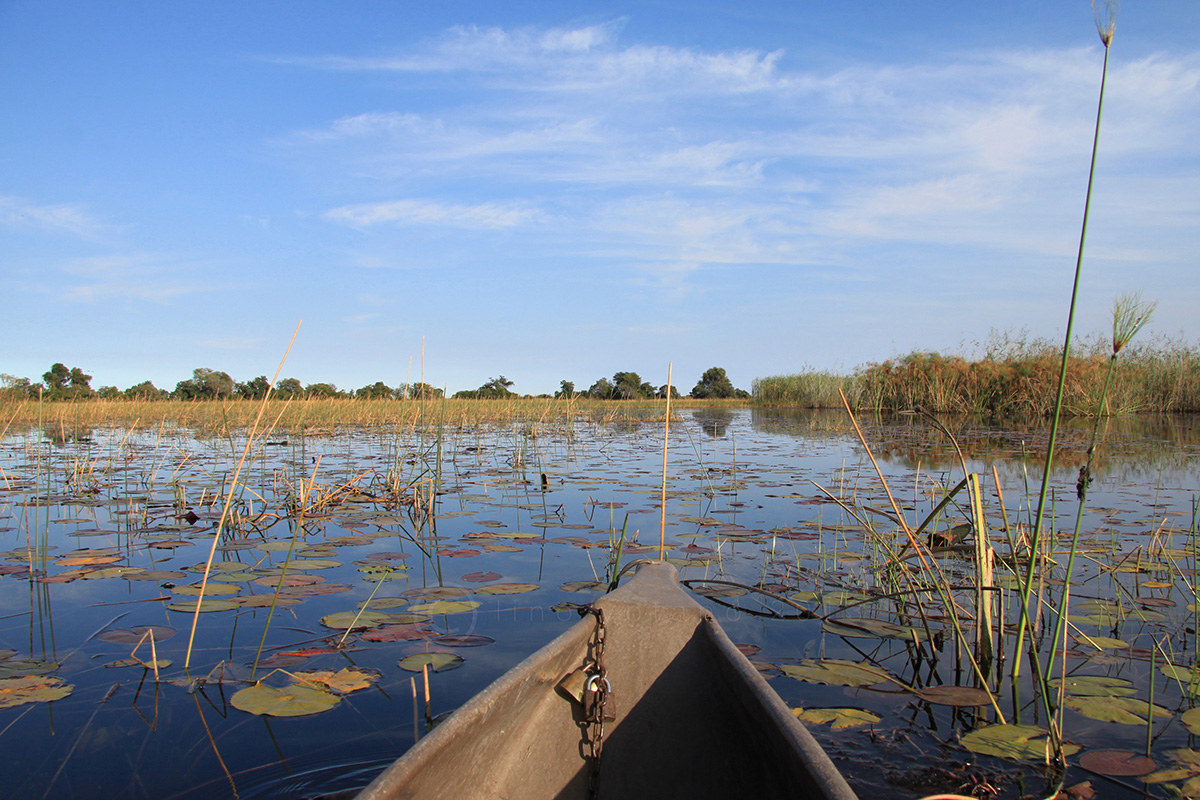 In mokoro in the Okavango Delta - Botswana