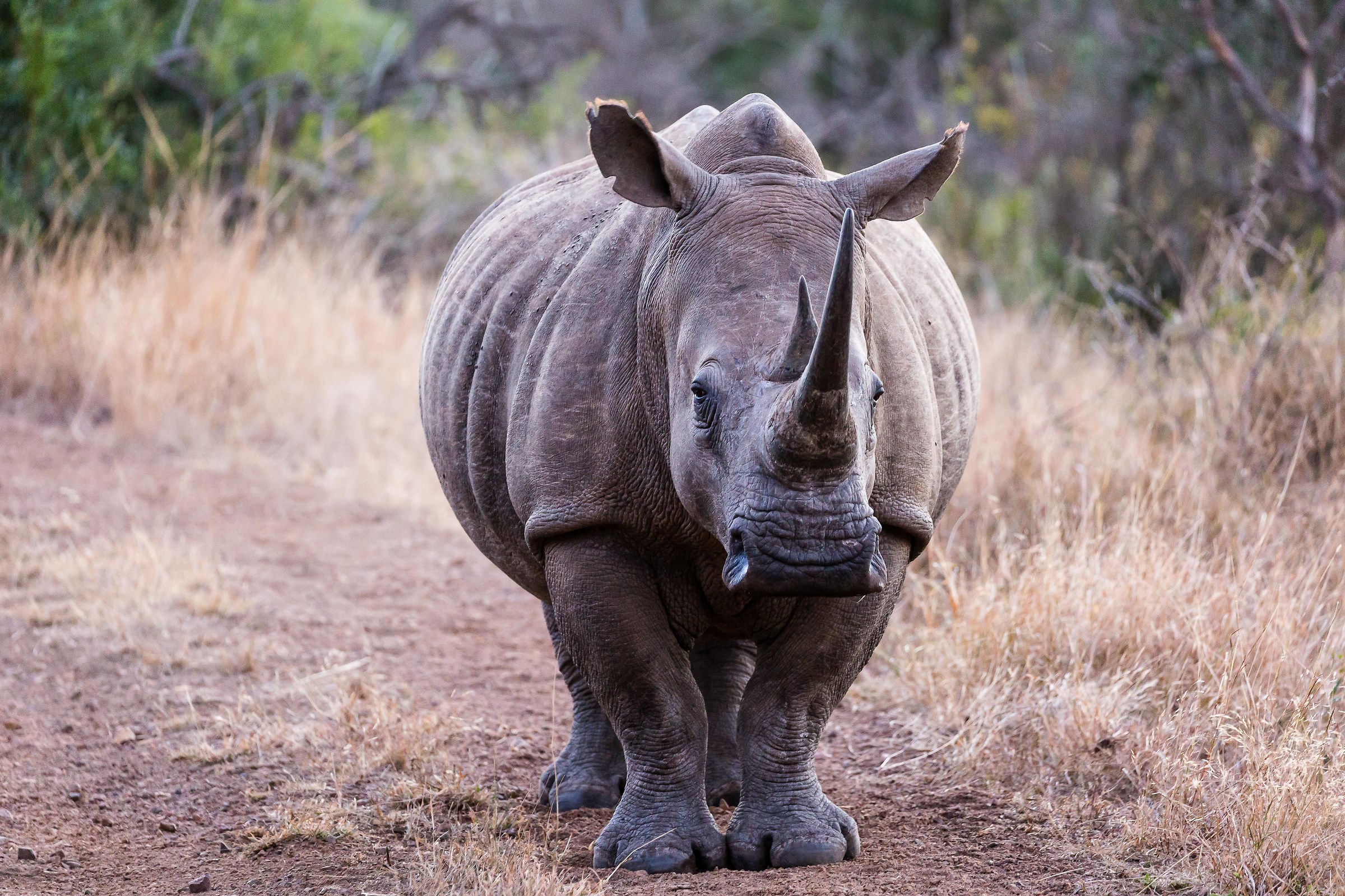 What do you have to look at?