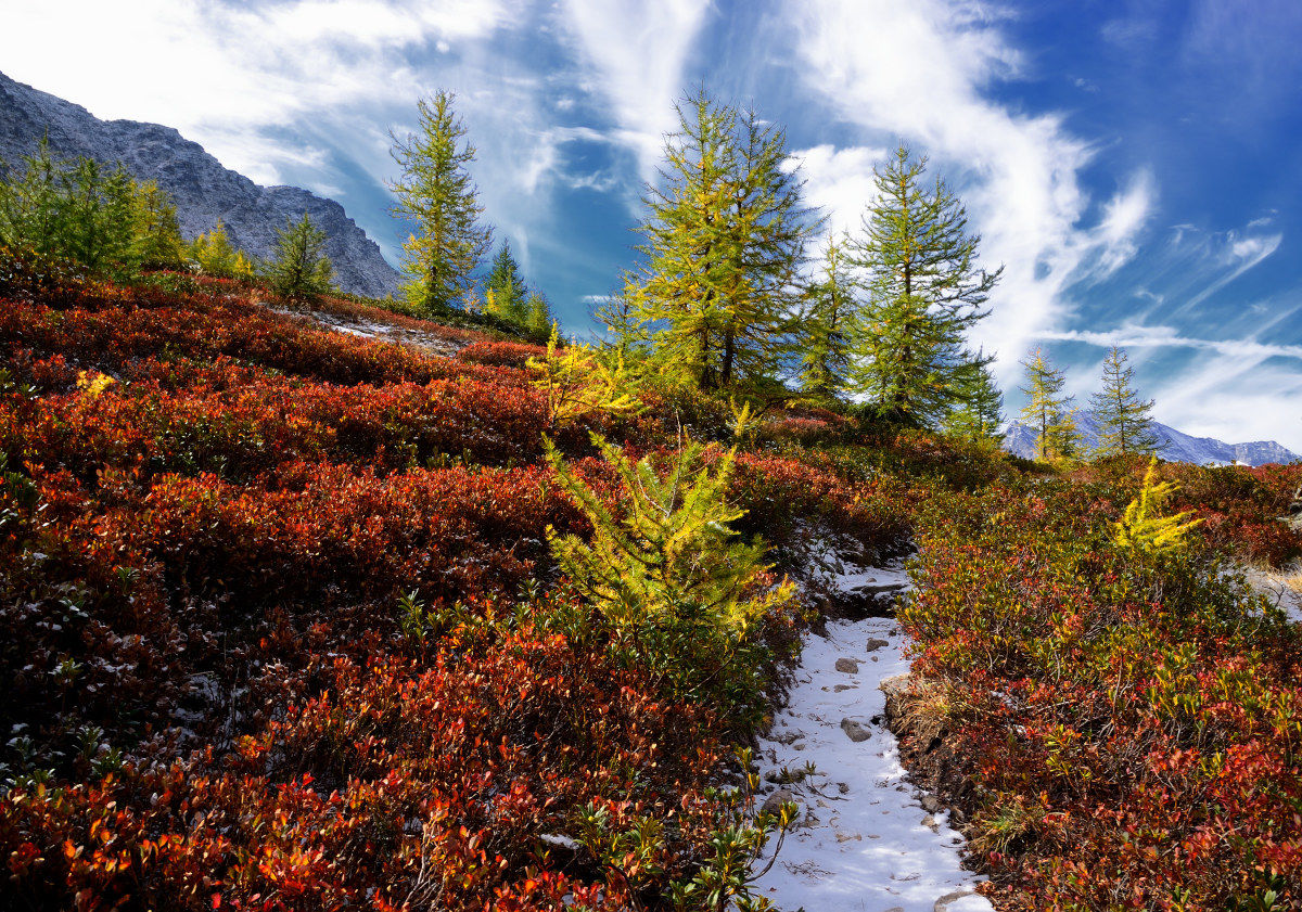 Autumn in Orco Valley