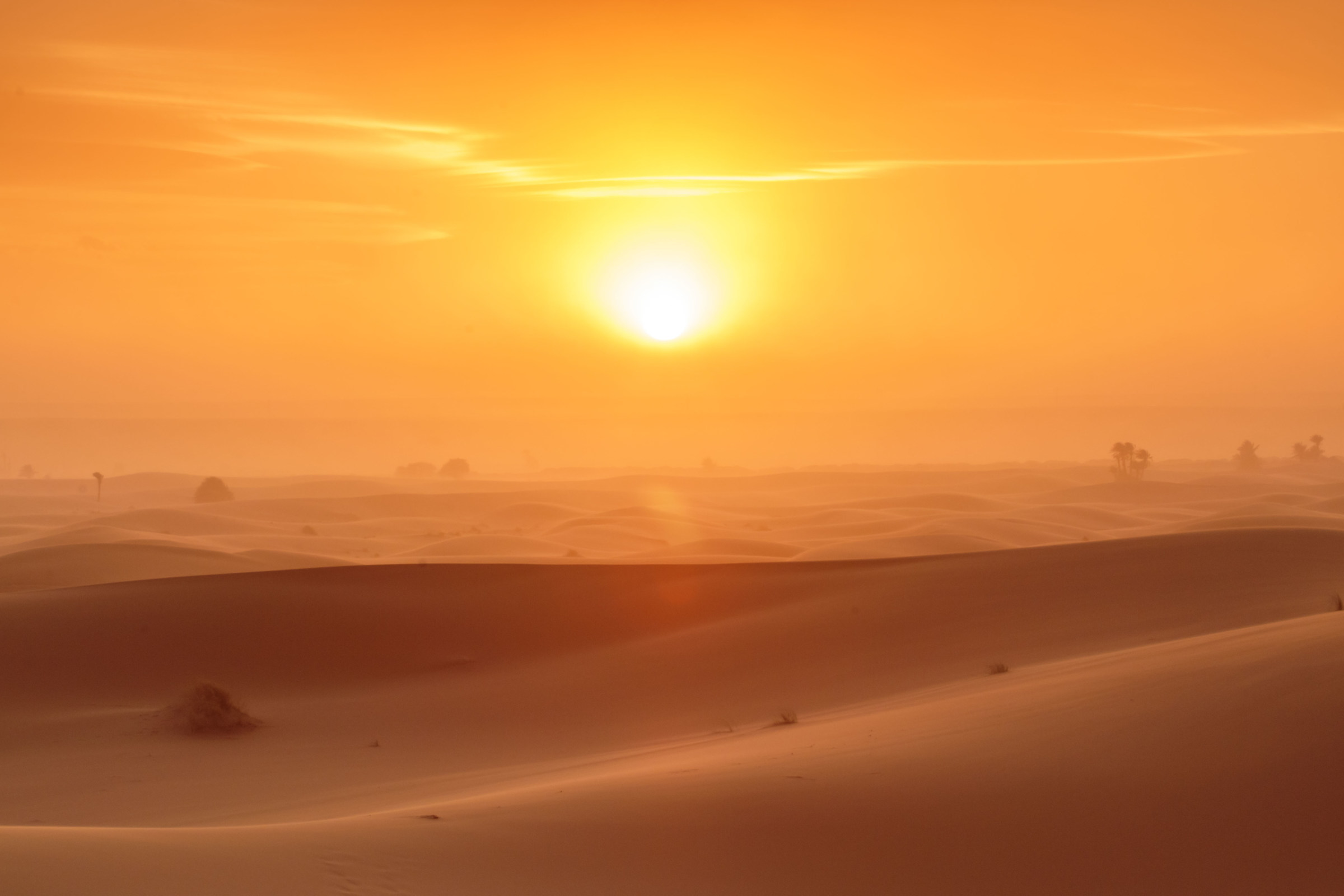 Sunset in the desert