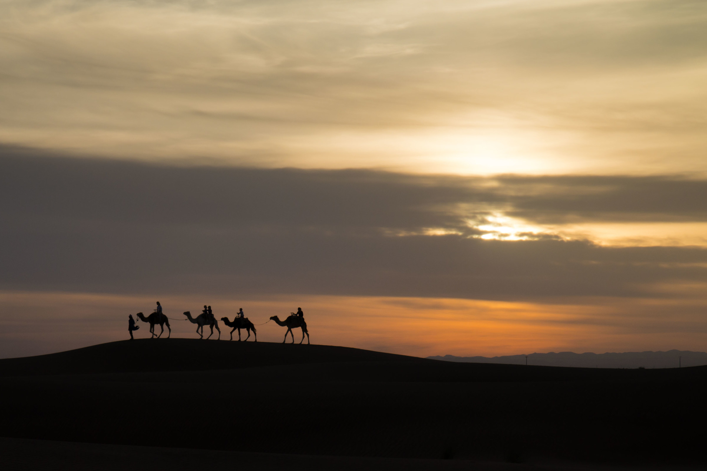 Carry in the desert at sunset