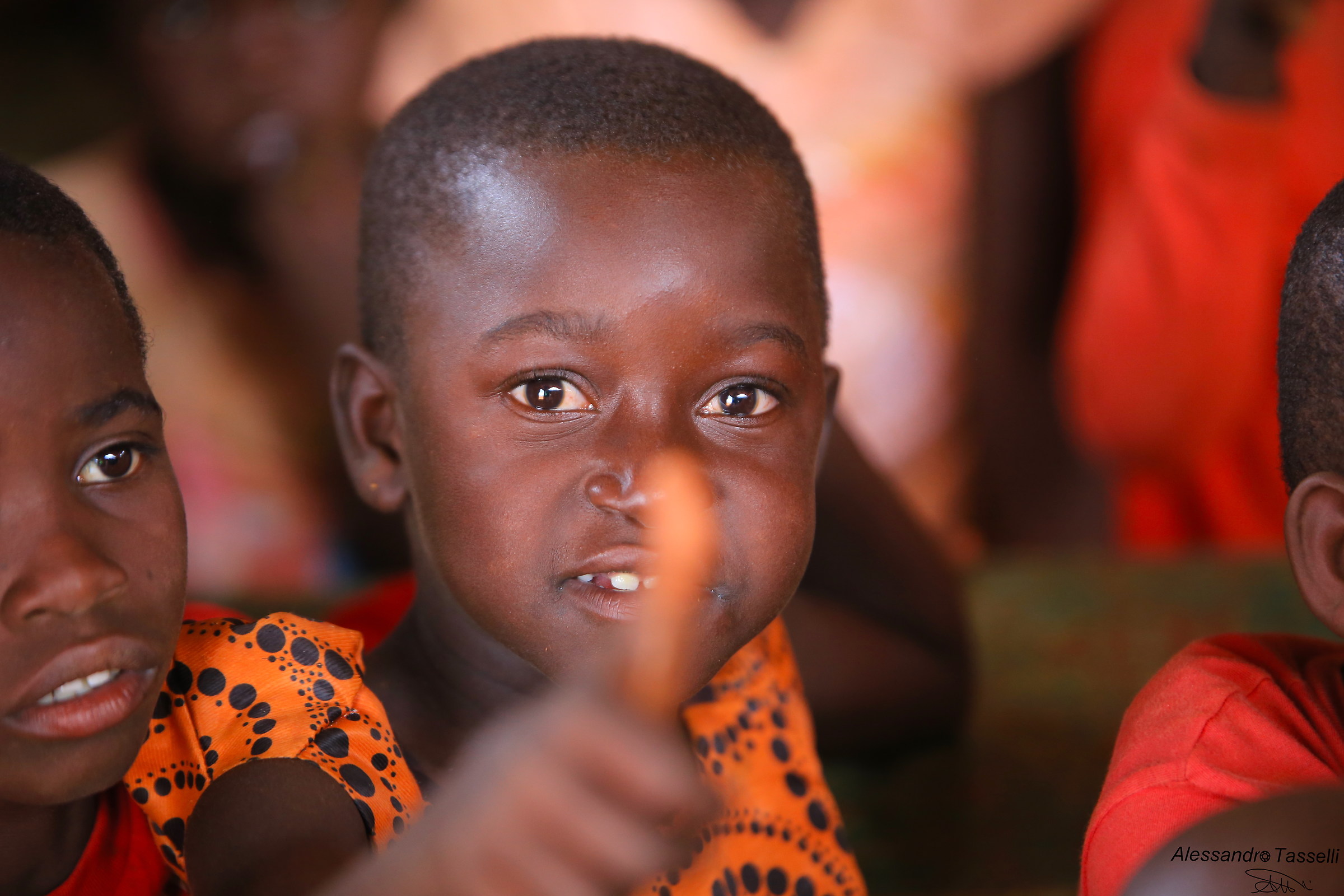 Nonostante tutto...Hakuna Matata