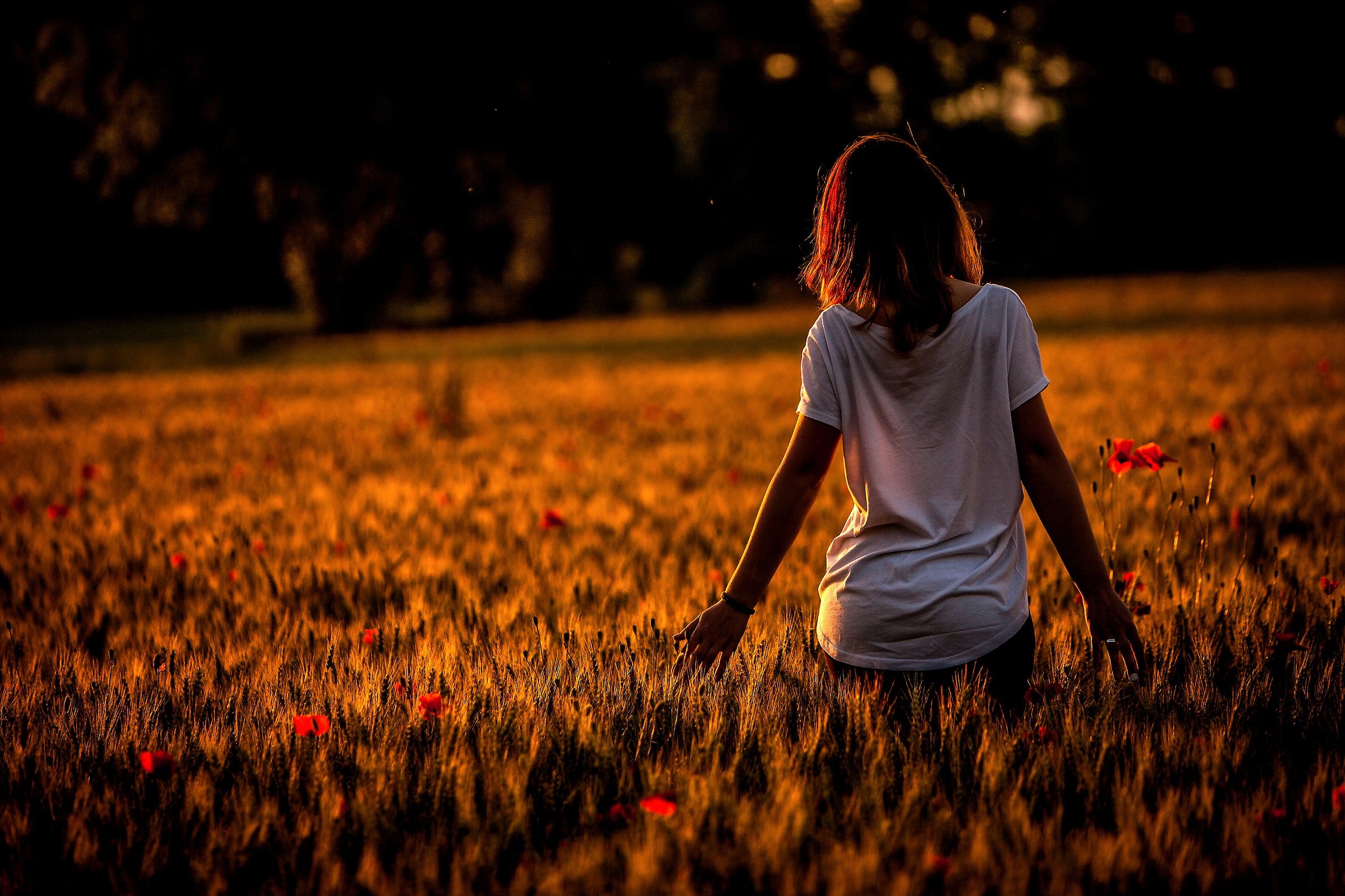 Nel mezzo dei campi di grano