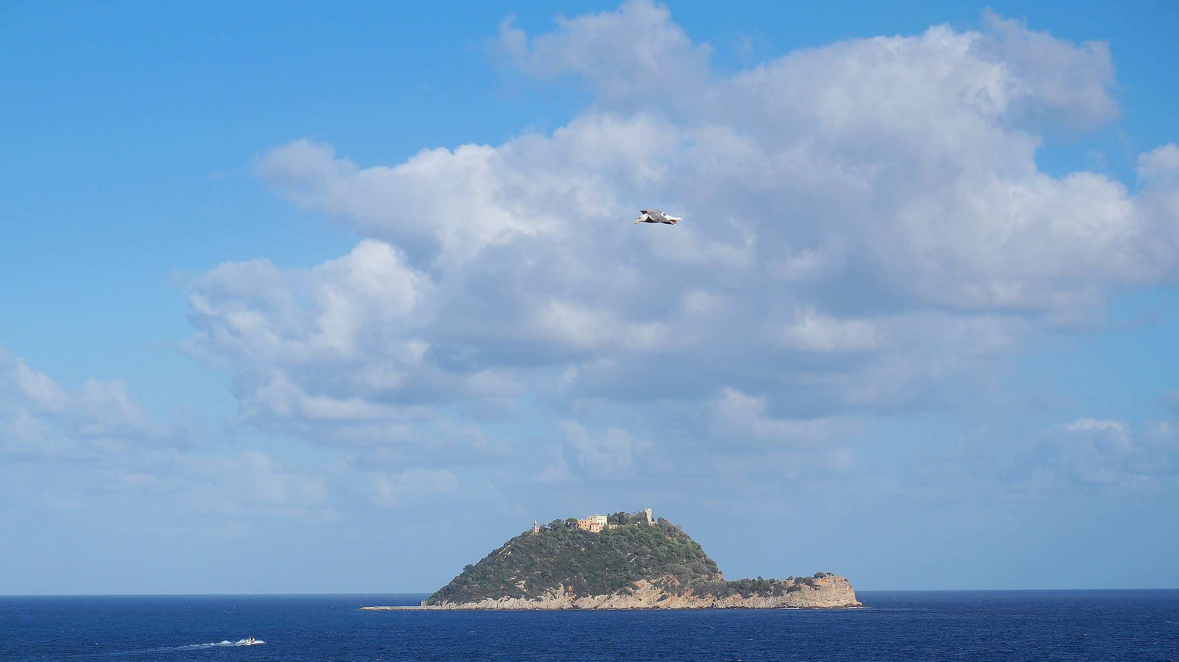 Gallinara Island