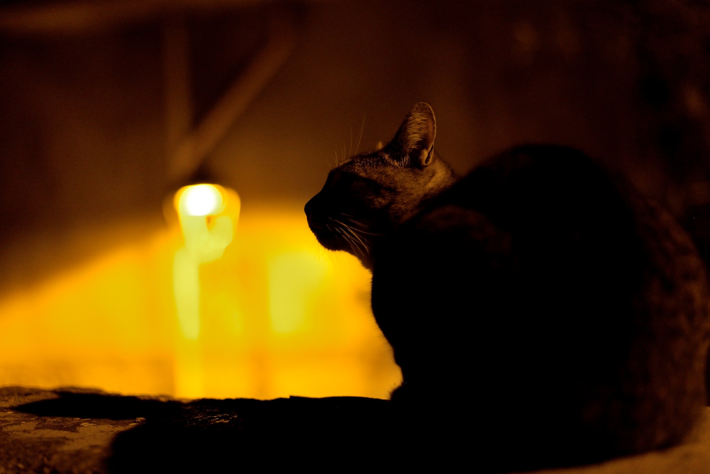 At the lamppost light