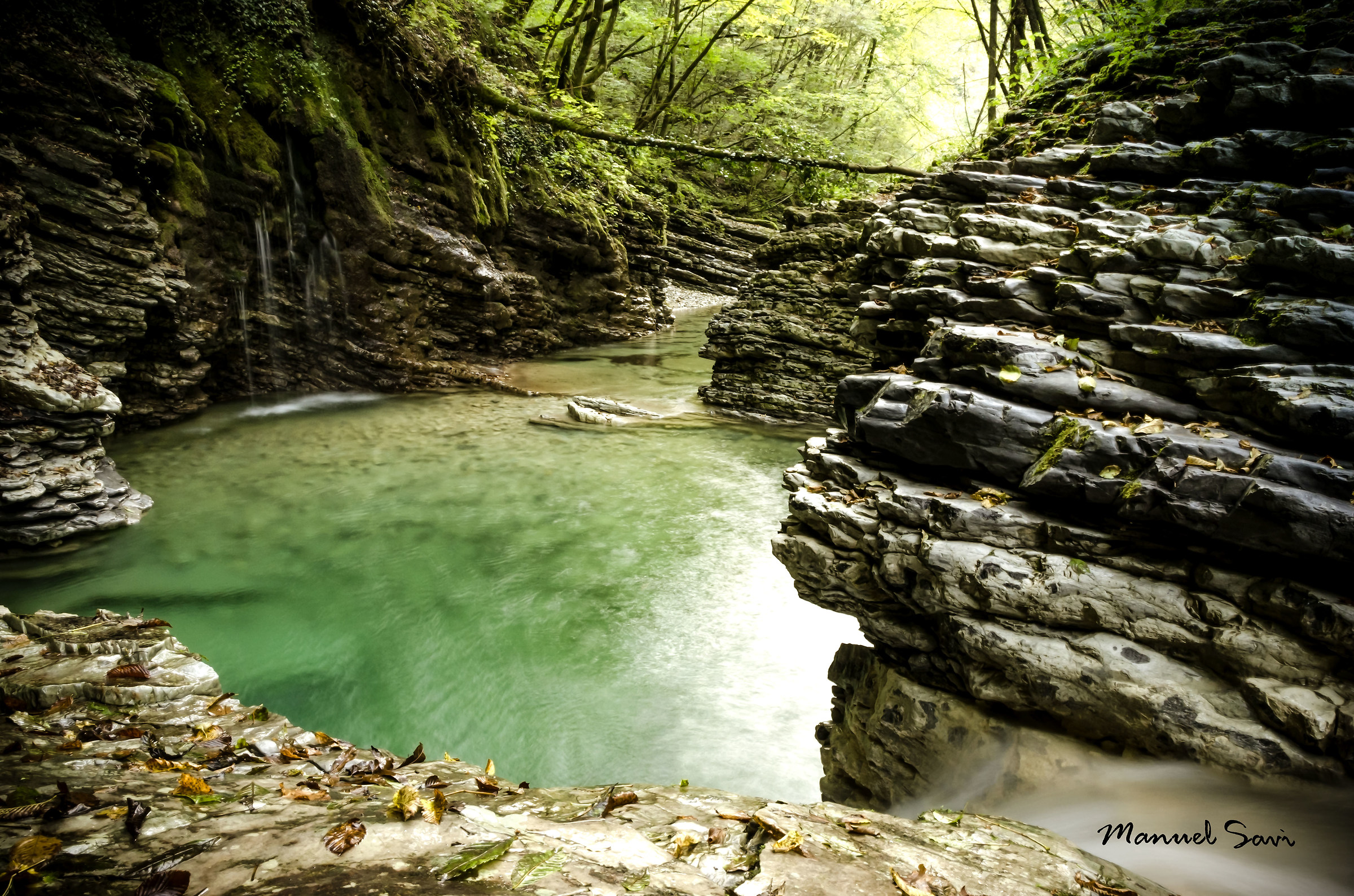 Small natural paradise