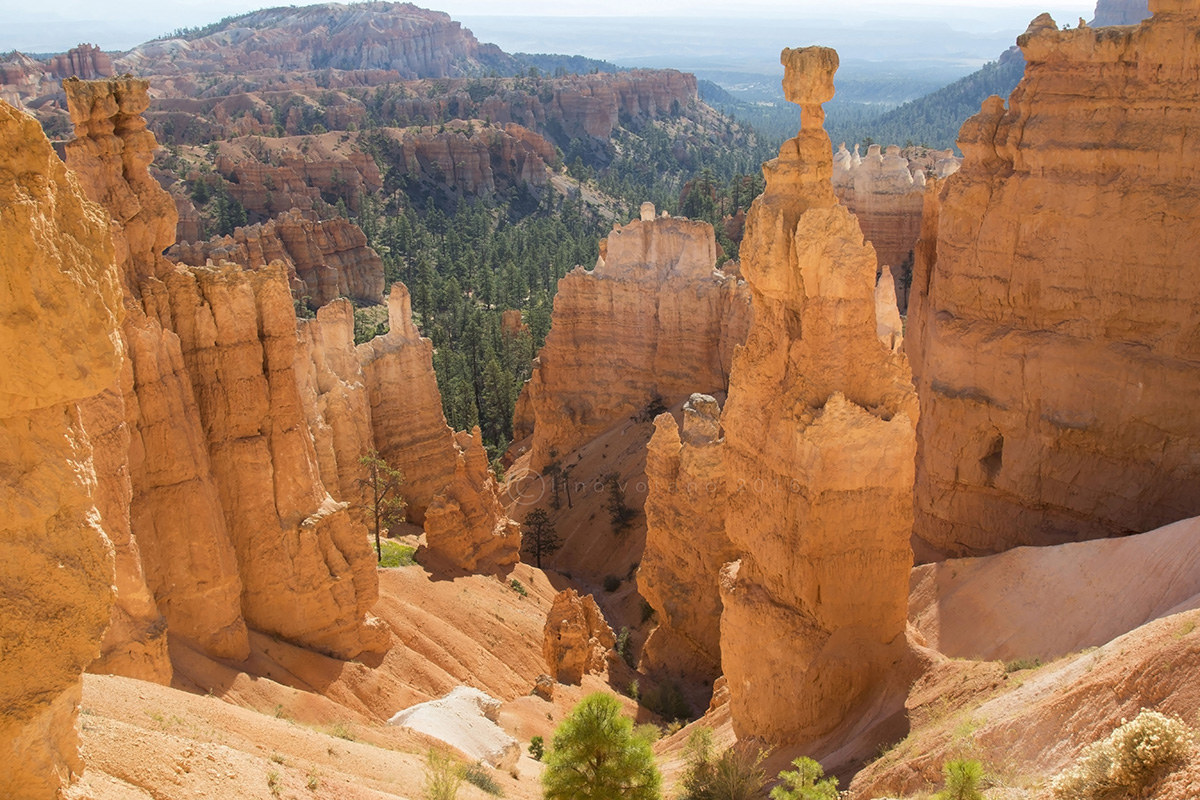 Bryce Canyon National Park (Utah)