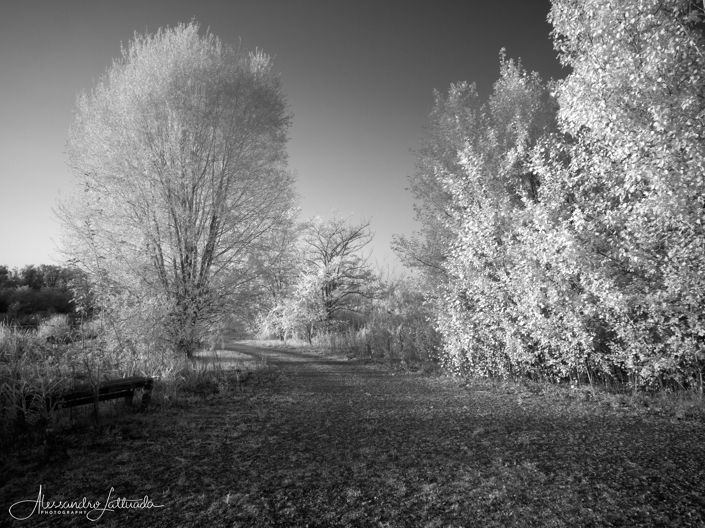 Tramonto all'infrarosso