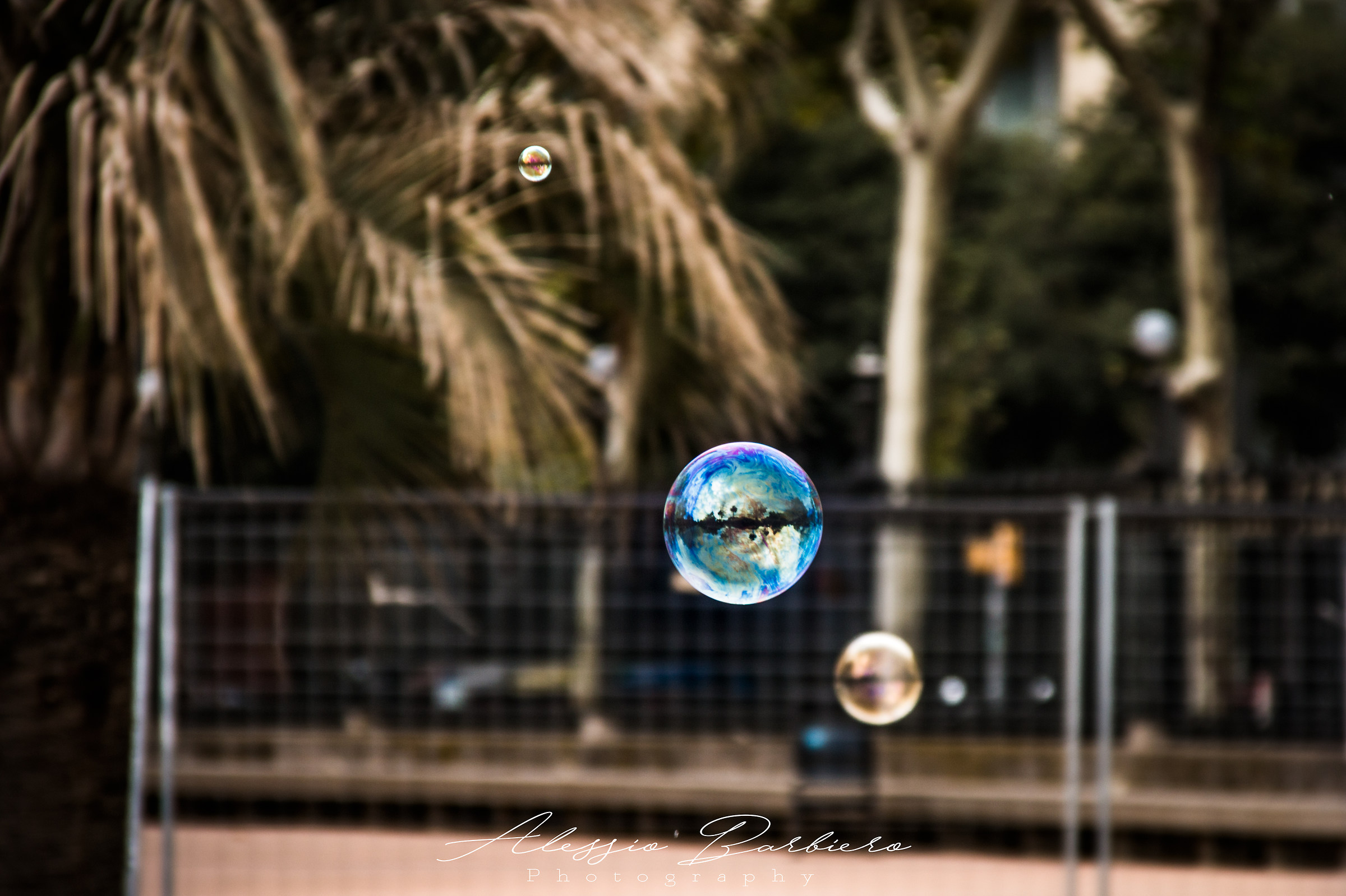 The world in a bubble